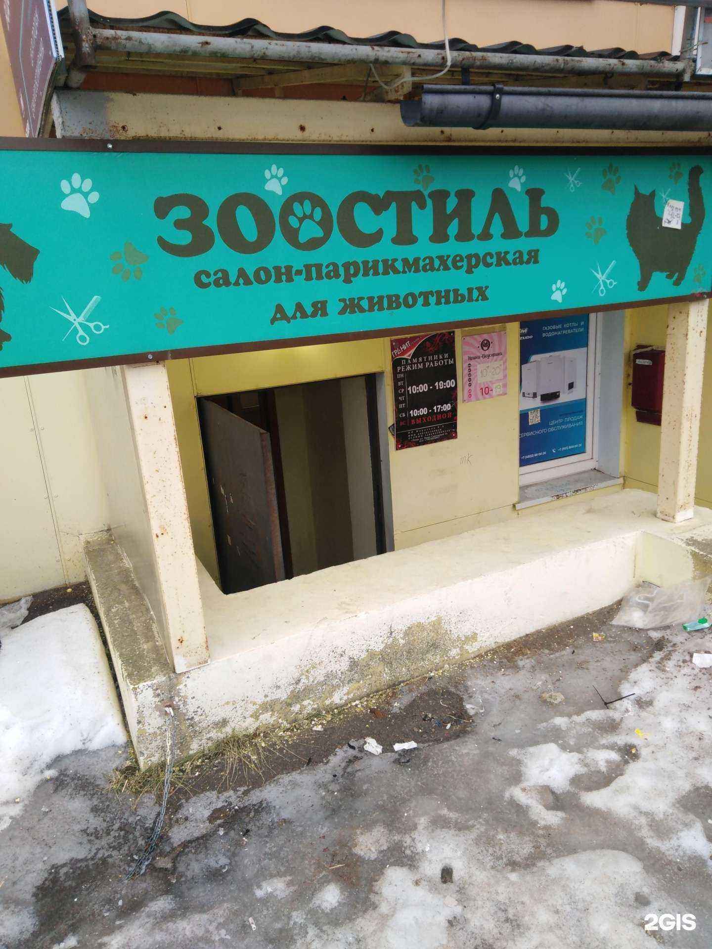 Отзывы на компанию Зоостиль в Твери c фото