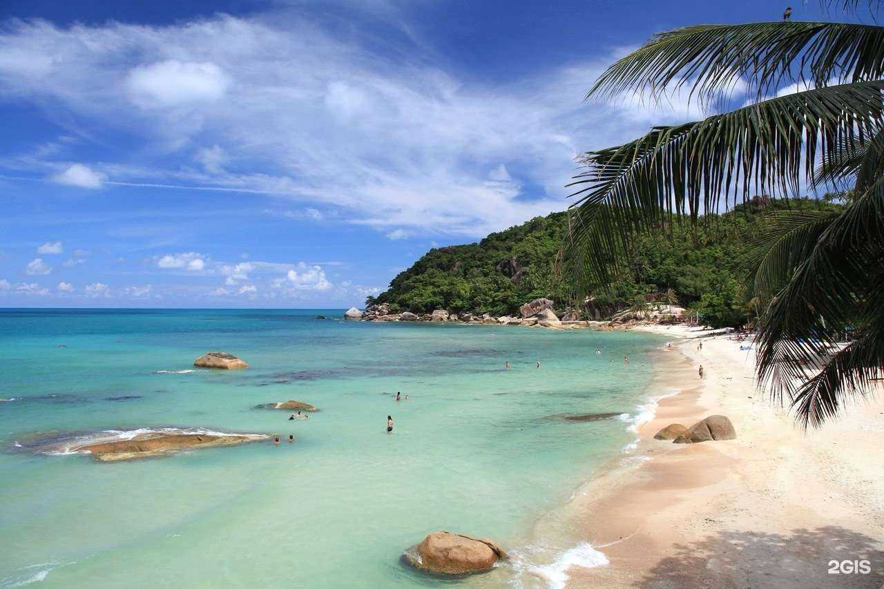 Отзывы на компанию Saxap Travel в г. Барнаул c фото