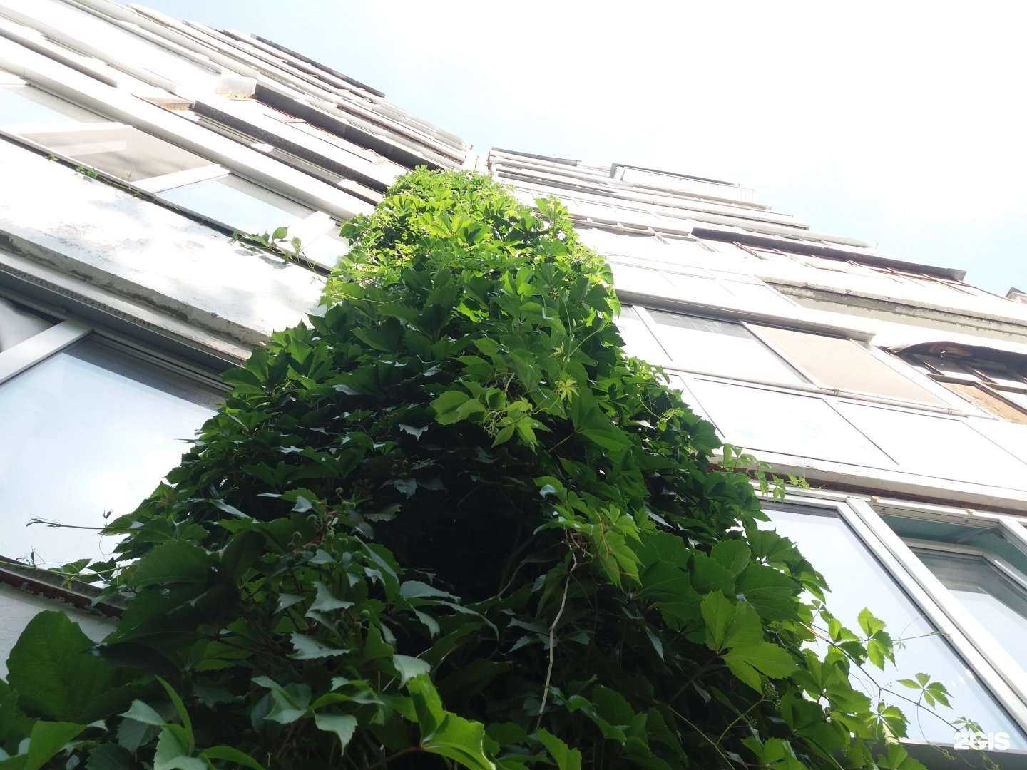 Отзывы на компанию Инструкция в Омске c фото - фотография 2 из 2