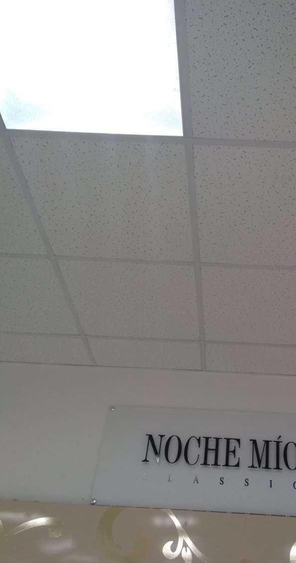 Отзывы на компанию Noche Mio в Чебоксарах c фото