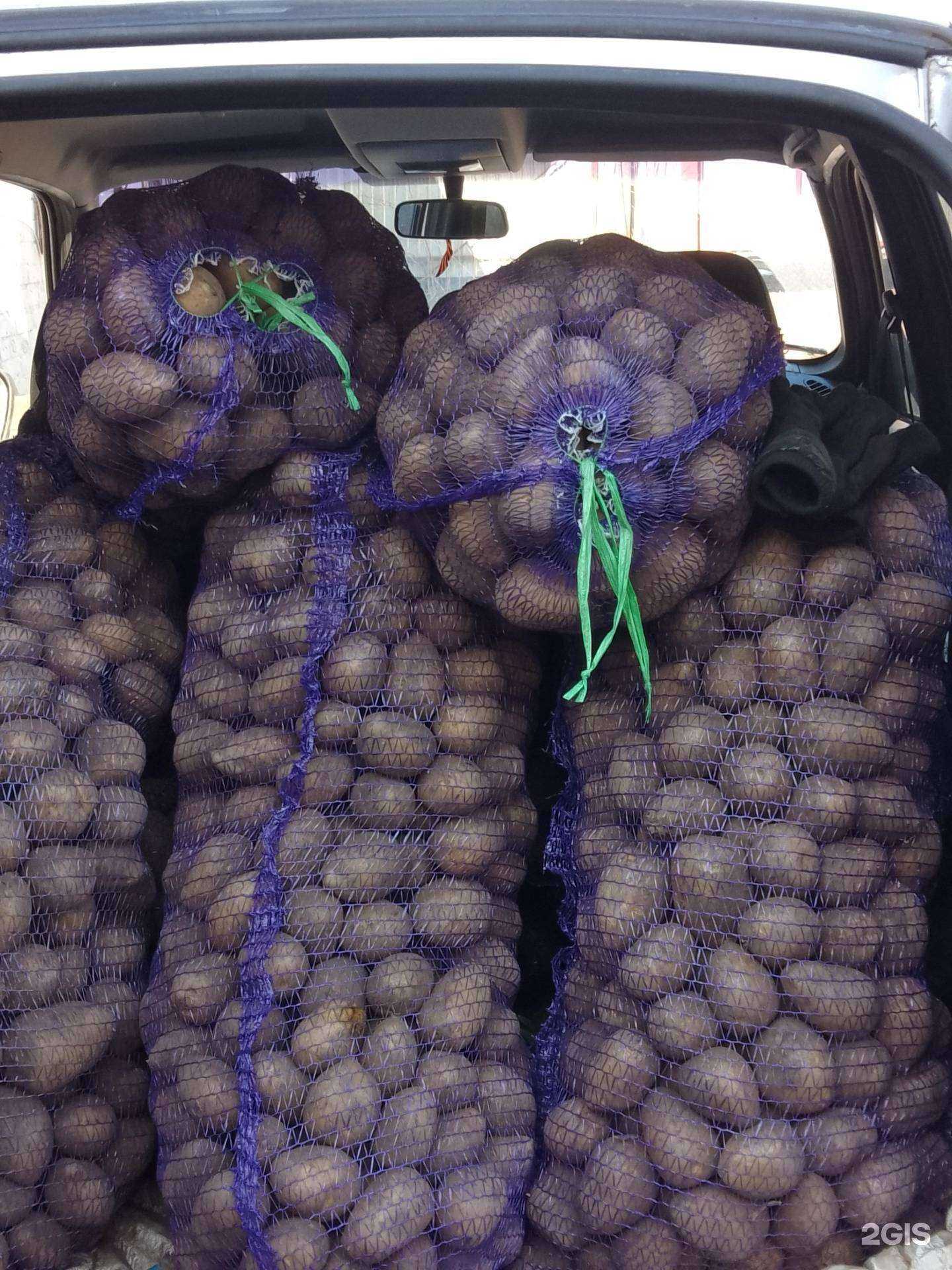 Отзывы на компанию Компания по продаже картофеля в Кирове c фото