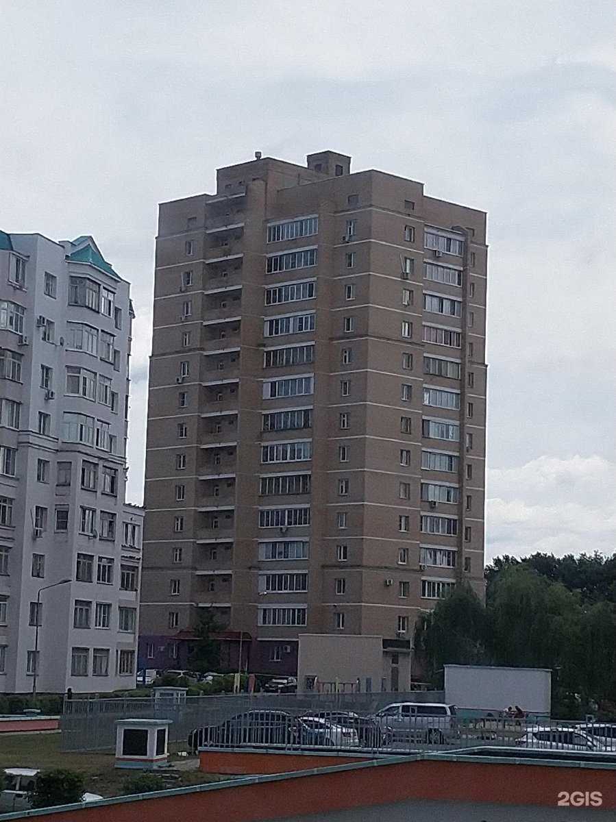 Отзывы на компанию Золотая Середина в Старом Осколе c фото - фотография 2 из 2