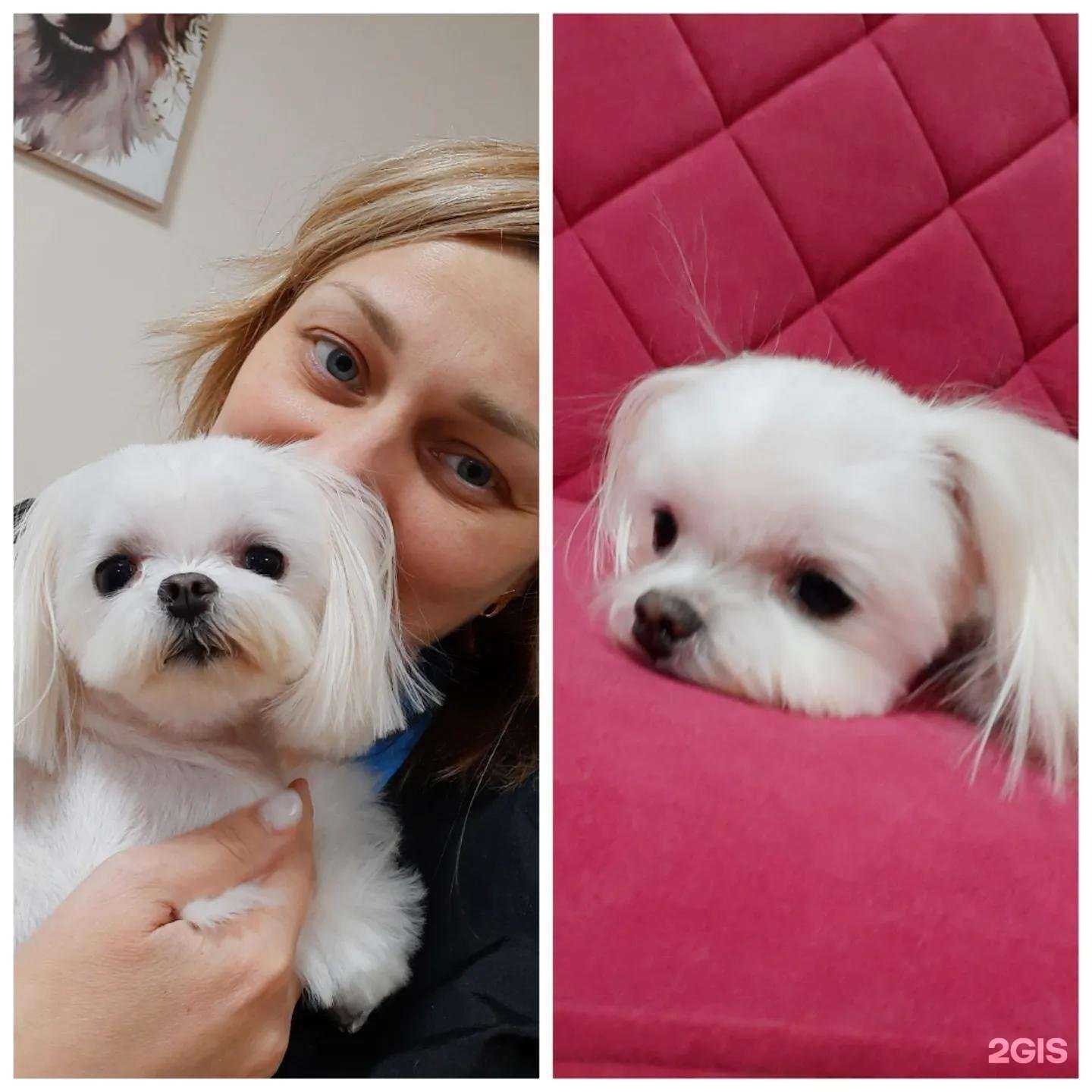 Отзывы на компанию Радость моя в г. Белгород c фото