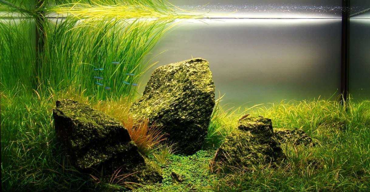 Отзывы на компанию Травник в г. Екатеринбург c фото