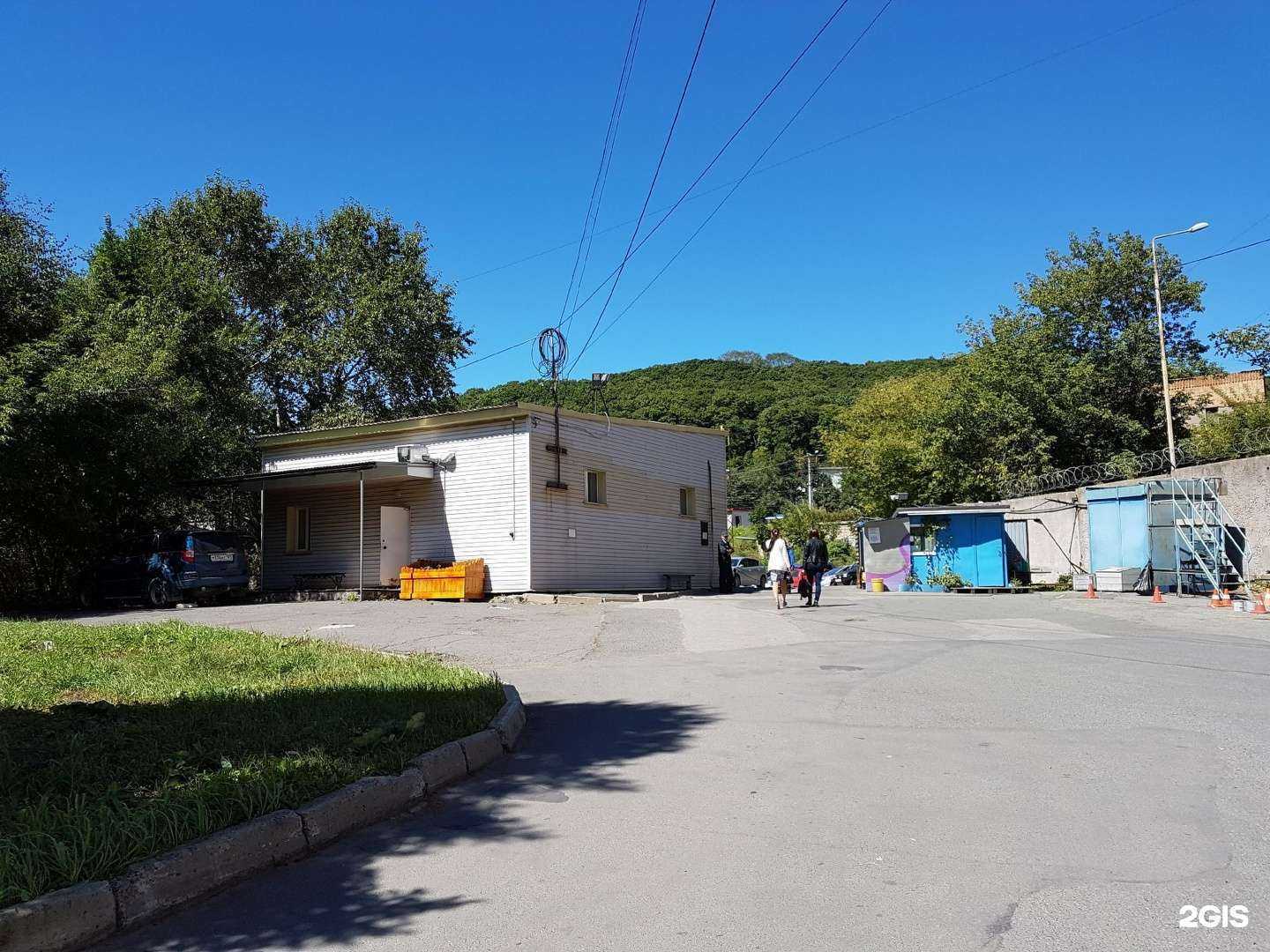 Отзывы на компанию Африка в Владивостоке c фото - фотография 2 из 2