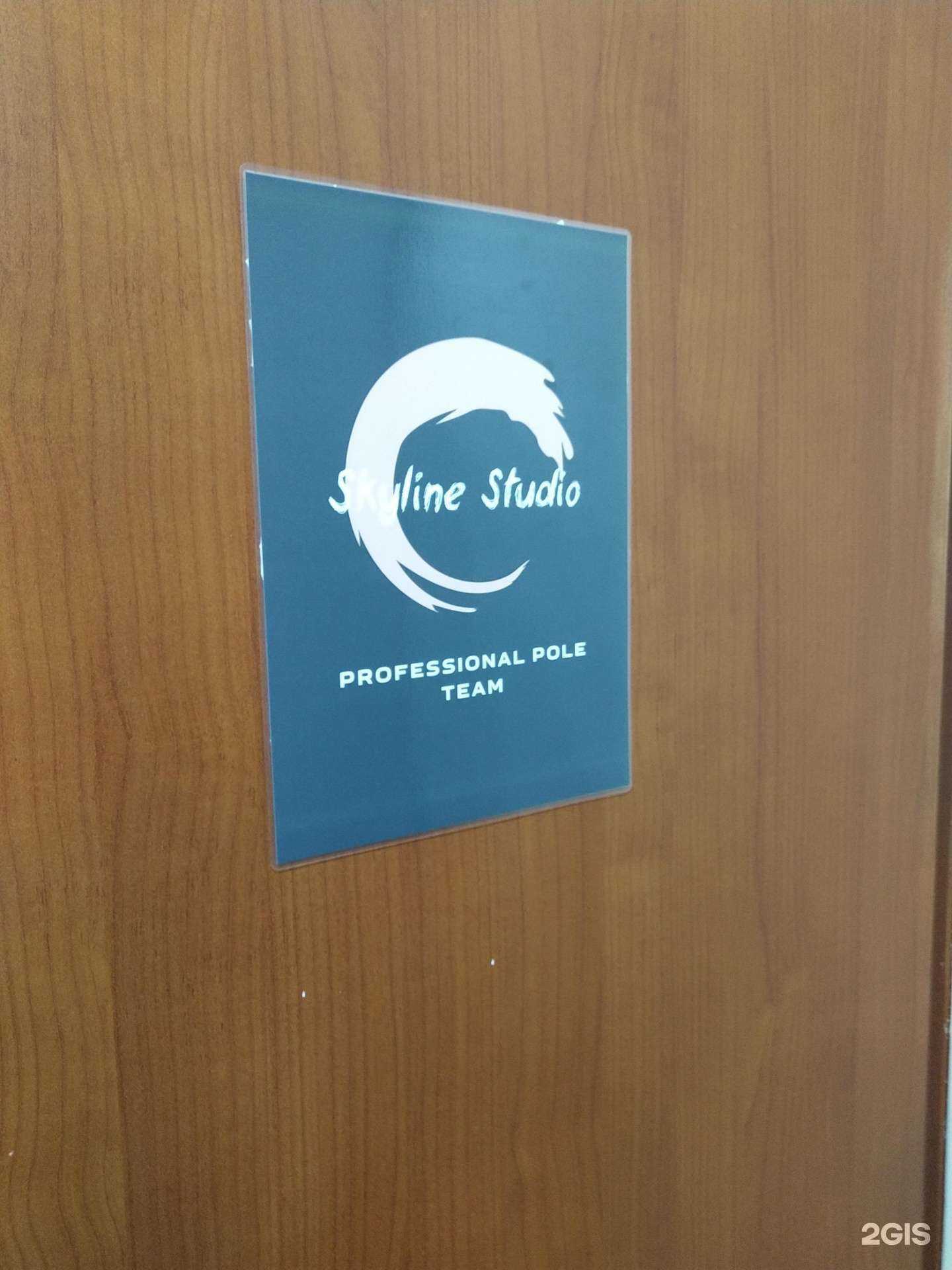 Отзывы на компанию Skyline Studio в г. Люберцы c фото