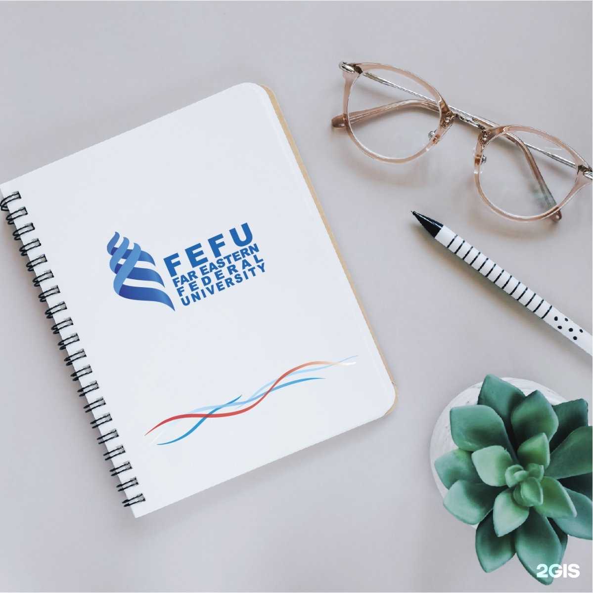 Отзывы на компанию Рея в Владивостоке c фото