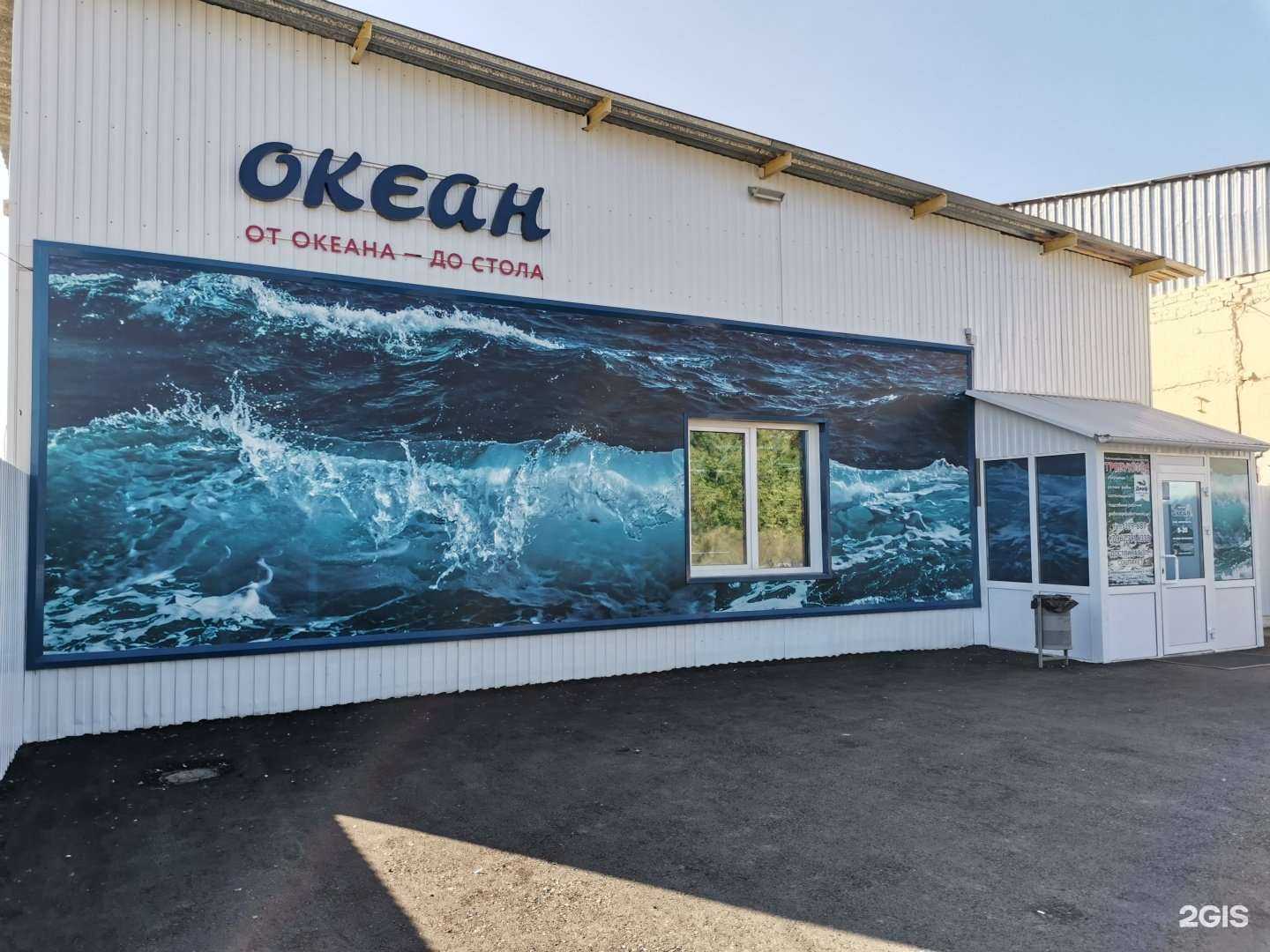 Отзывы на компанию Океан в Барнауле c фото