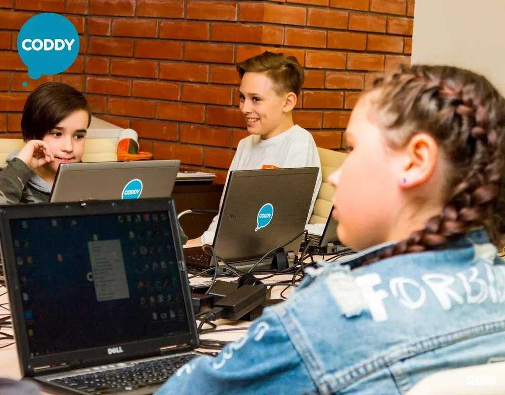 Отзывы на компанию Coddy в Кирове c фото