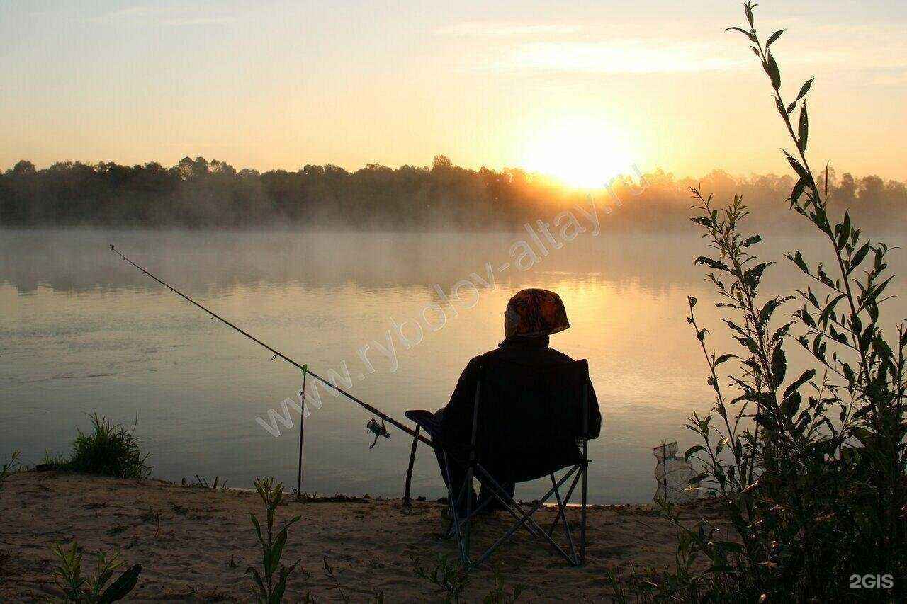 Отзывы на компанию Рыболов-Алтай в Омске c фото