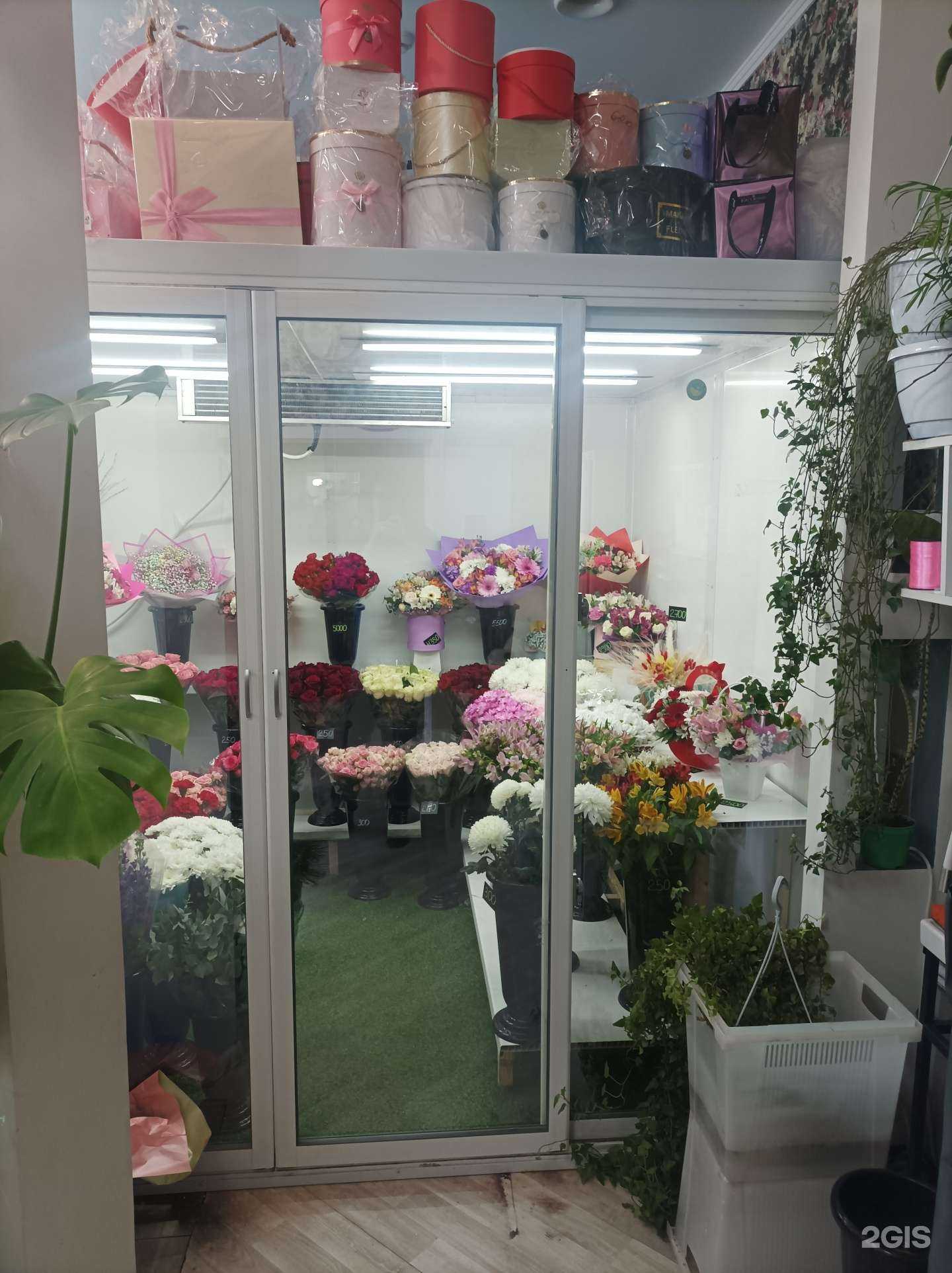 Отзывы на компанию Statys Flo в г. Коммунарка c фото