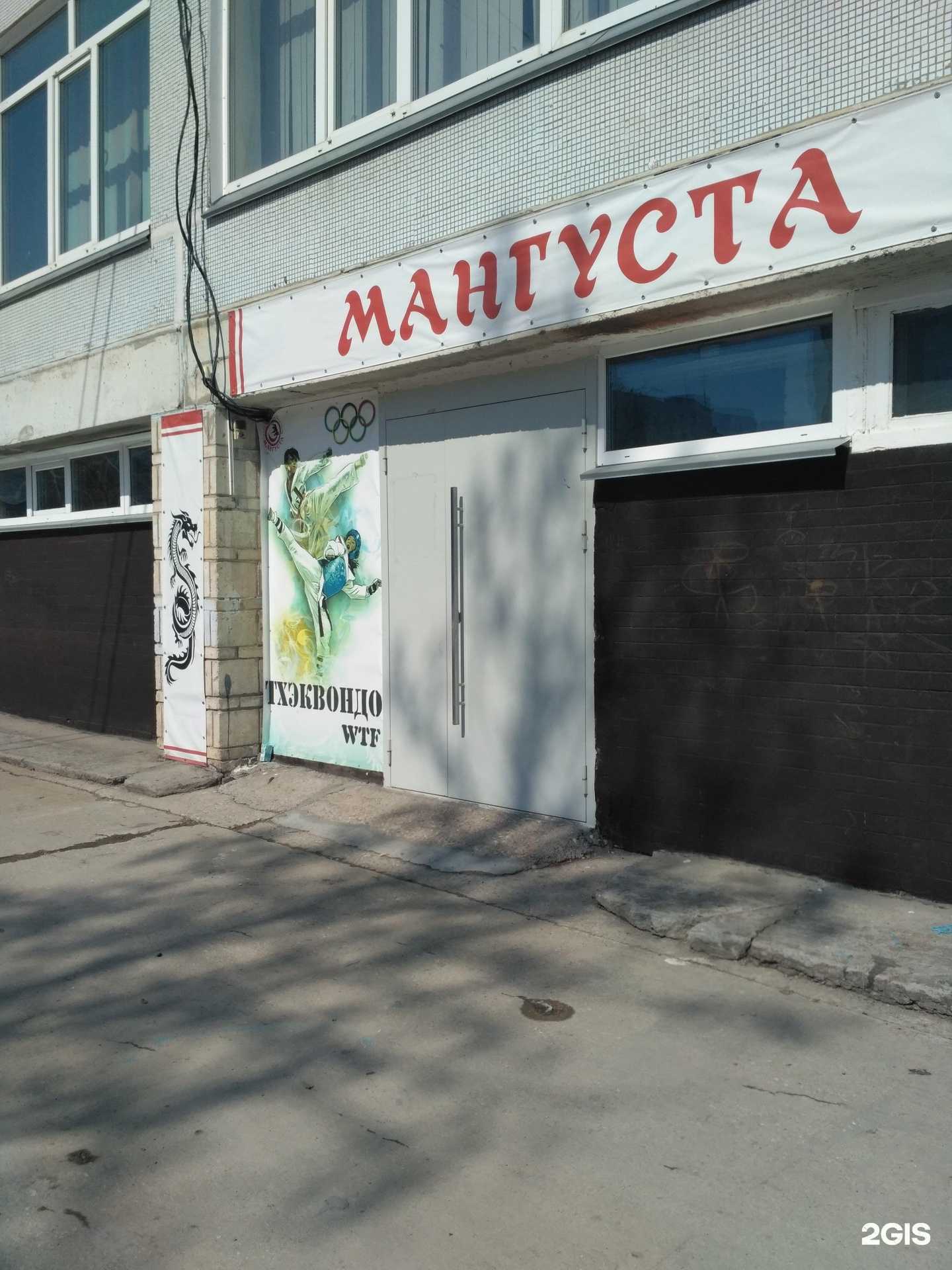 Отзывы на компанию Мангуста в Новосибирске c фото