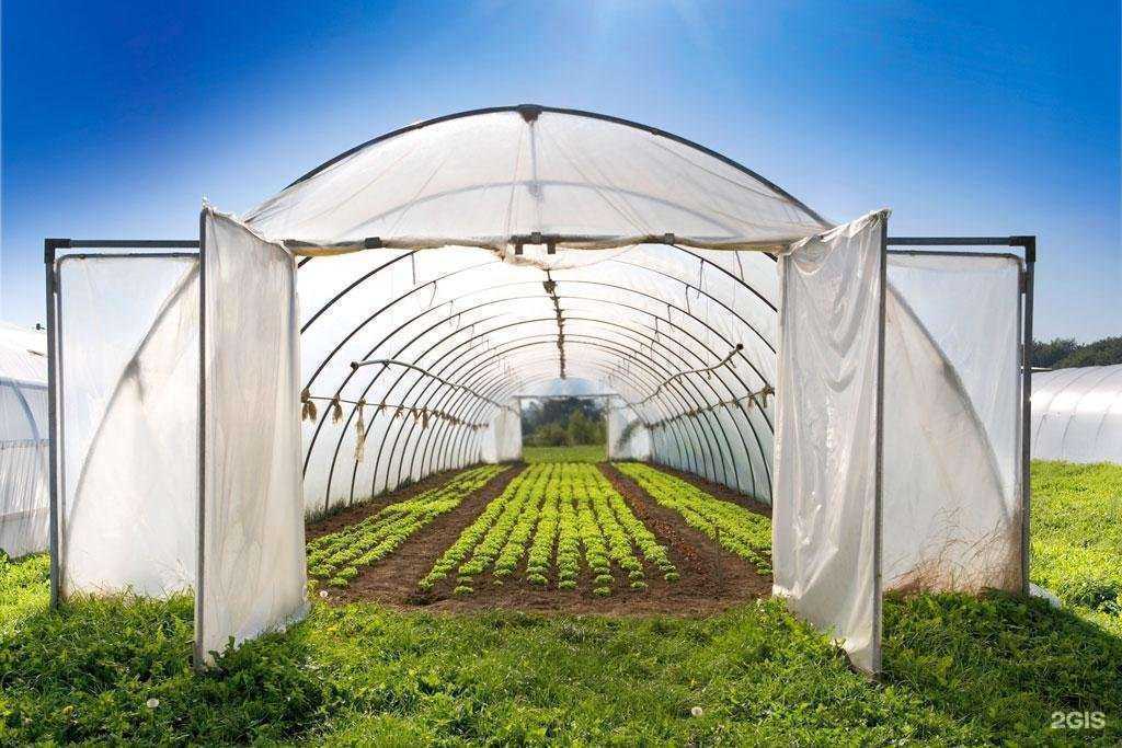 Отзывы на компанию Полимер-Вектор в Белове c фото