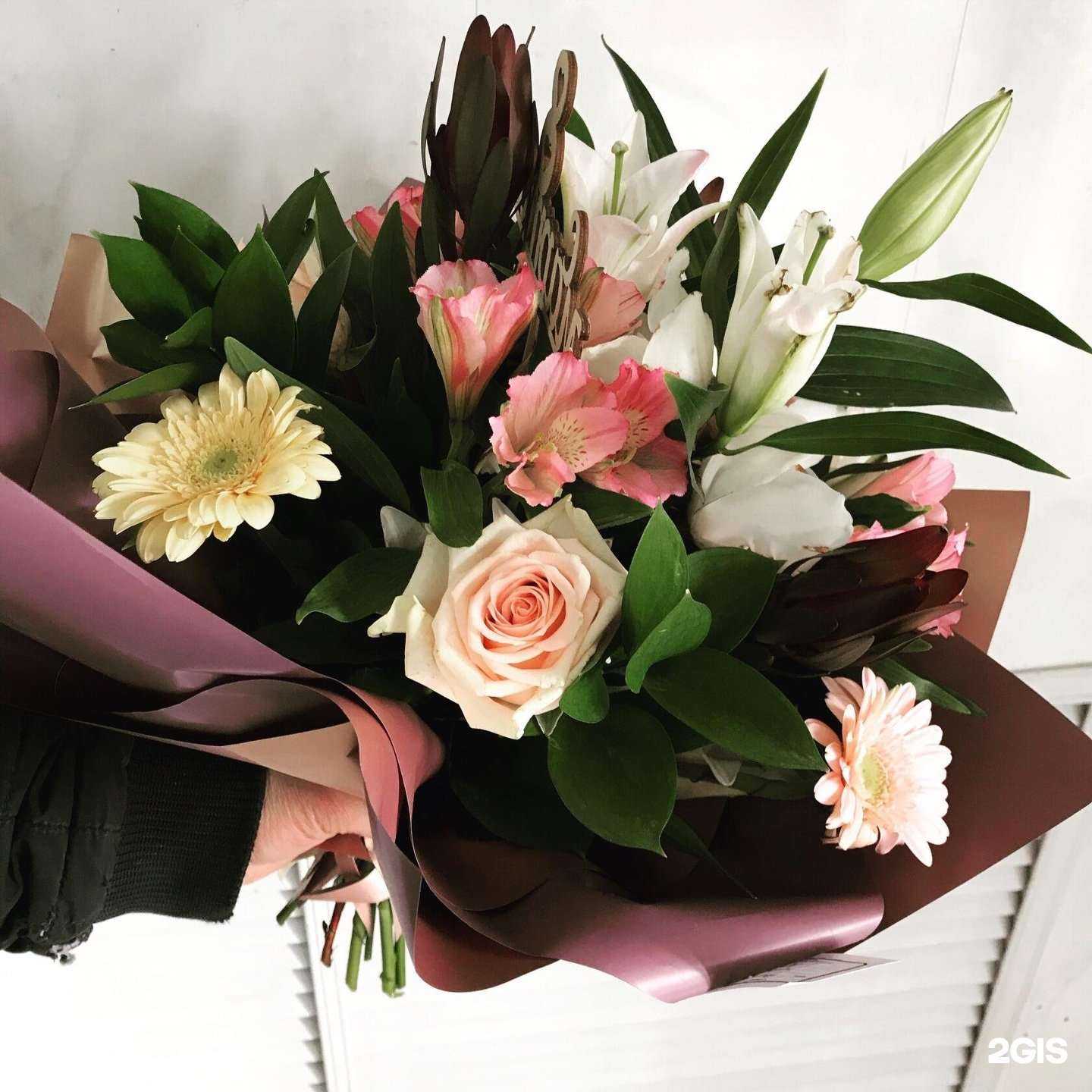 Отзывы на компанию Колибри в Чите c фото