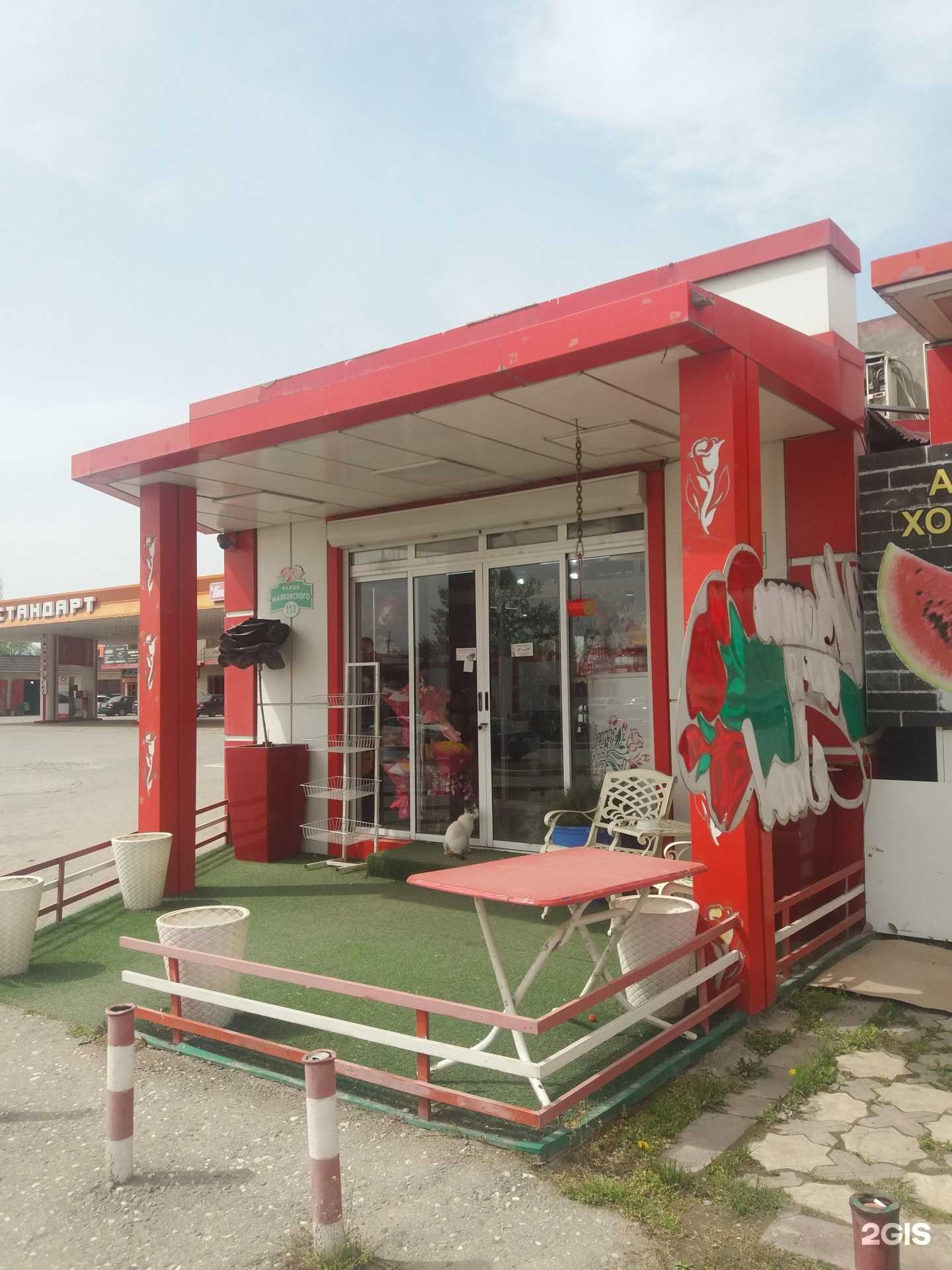 Отзывы на компанию Цветы для вас в Грозном c фото