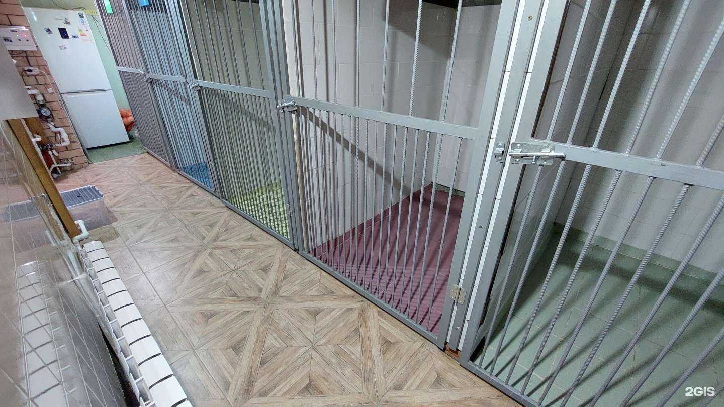 Отзывы на компанию Леди и Бродяга в г. Ревда c фото