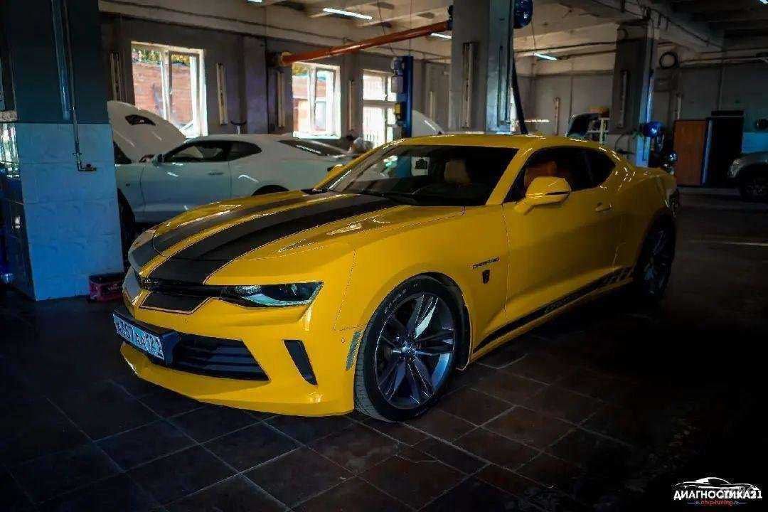 Отзывы на компанию Диагностика 21 в г. Чебоксары c фото