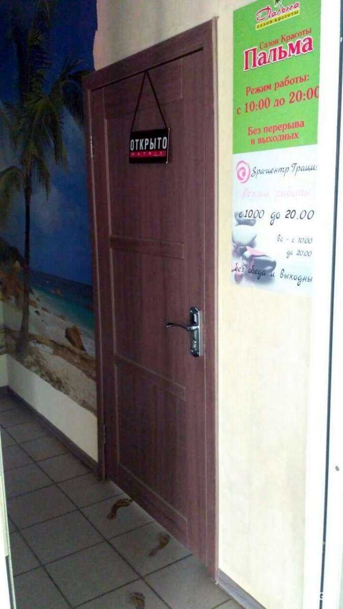 Отзывы на компанию Пальма в Ярославле c фото