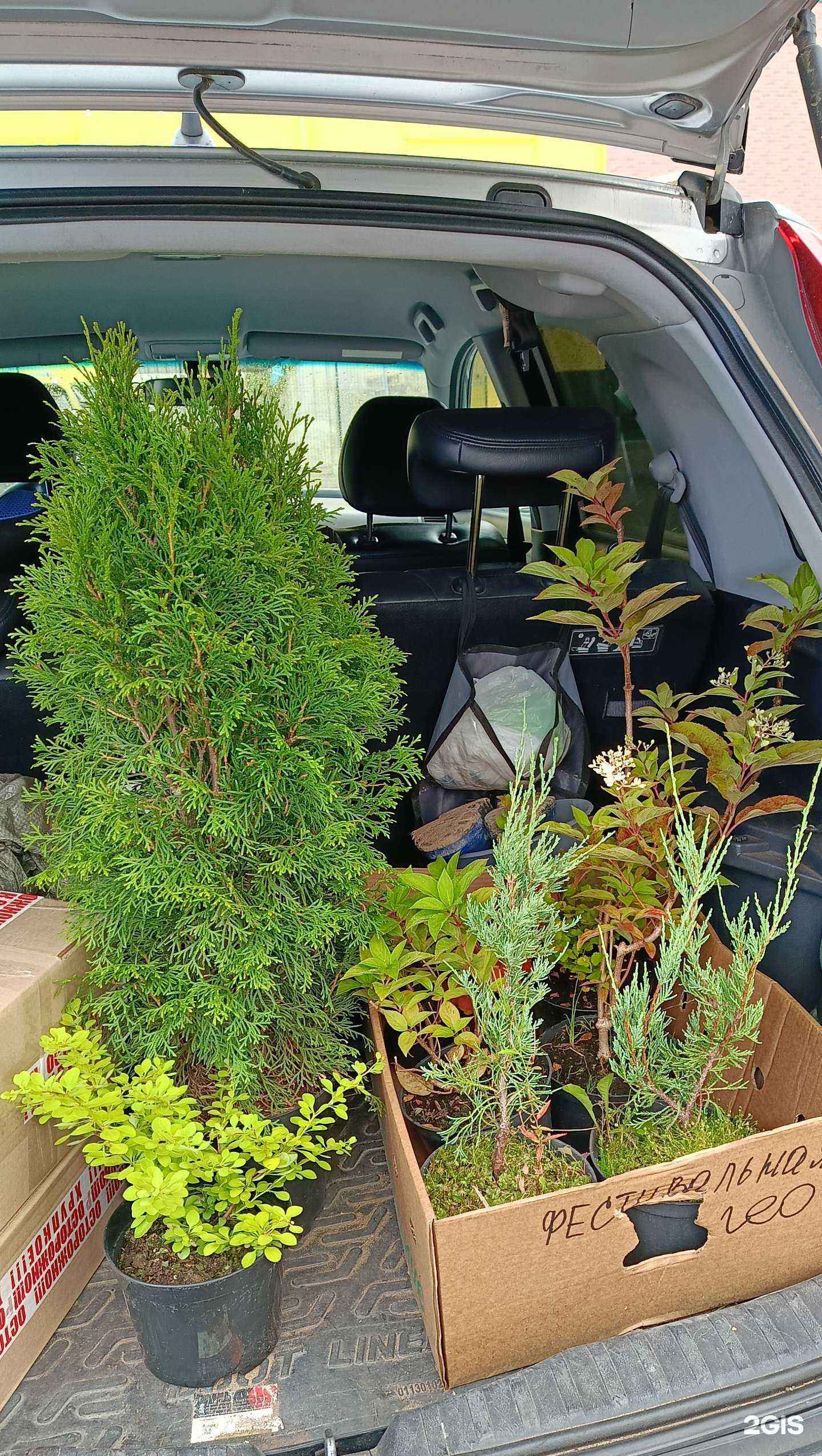 Отзывы на компанию СтройБери в г. Киров c фото