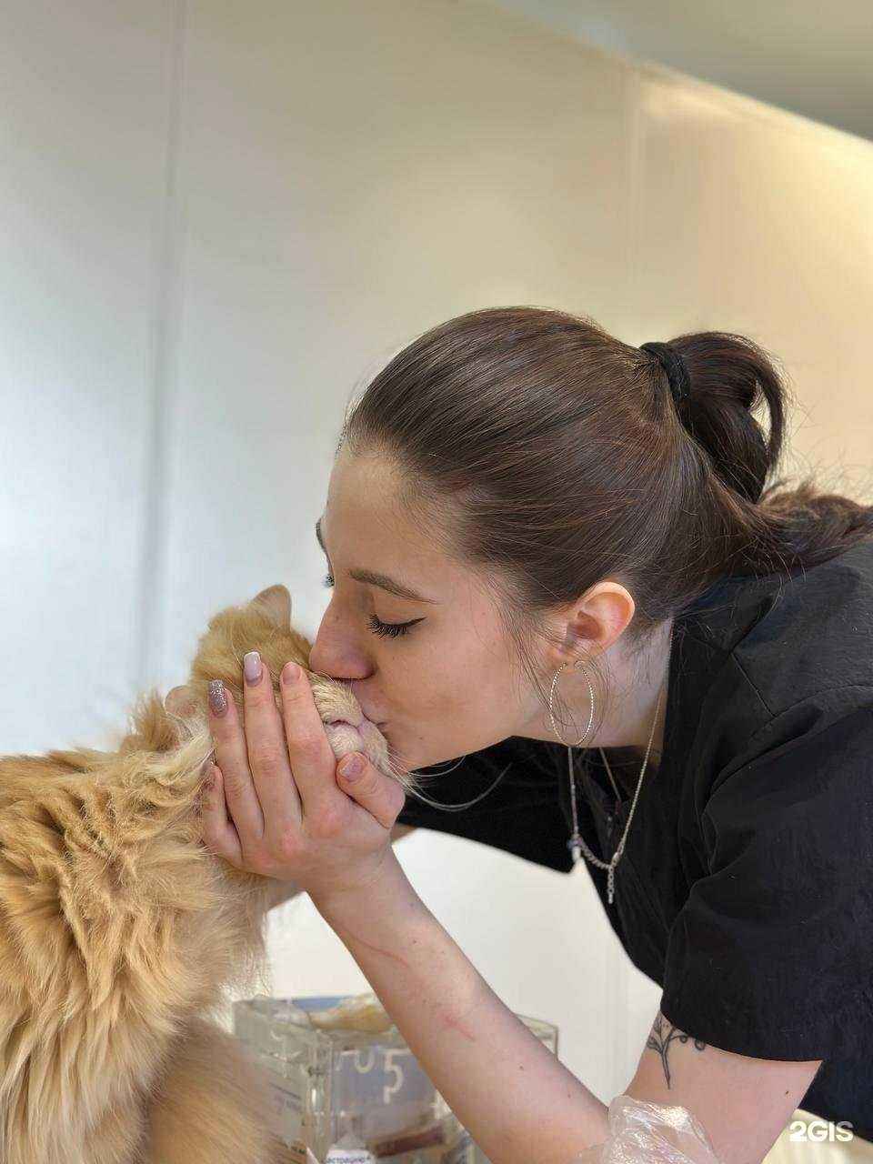 Отзывы на компанию Алис в г. Тюмень c фото