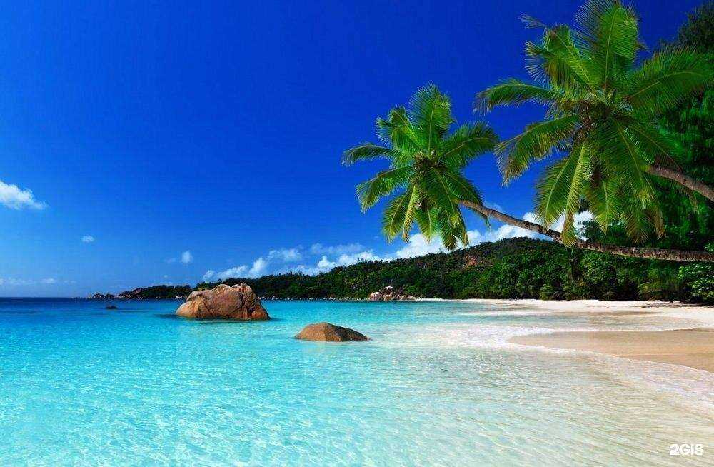 Отзывы на компанию Бон вояж экспресс в г. Ставрополь c фото