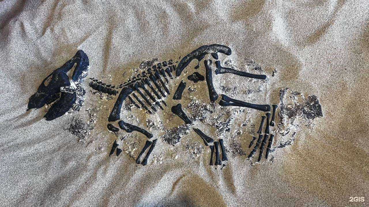 Отзывы на компанию Море песка в Коммунарке c фото