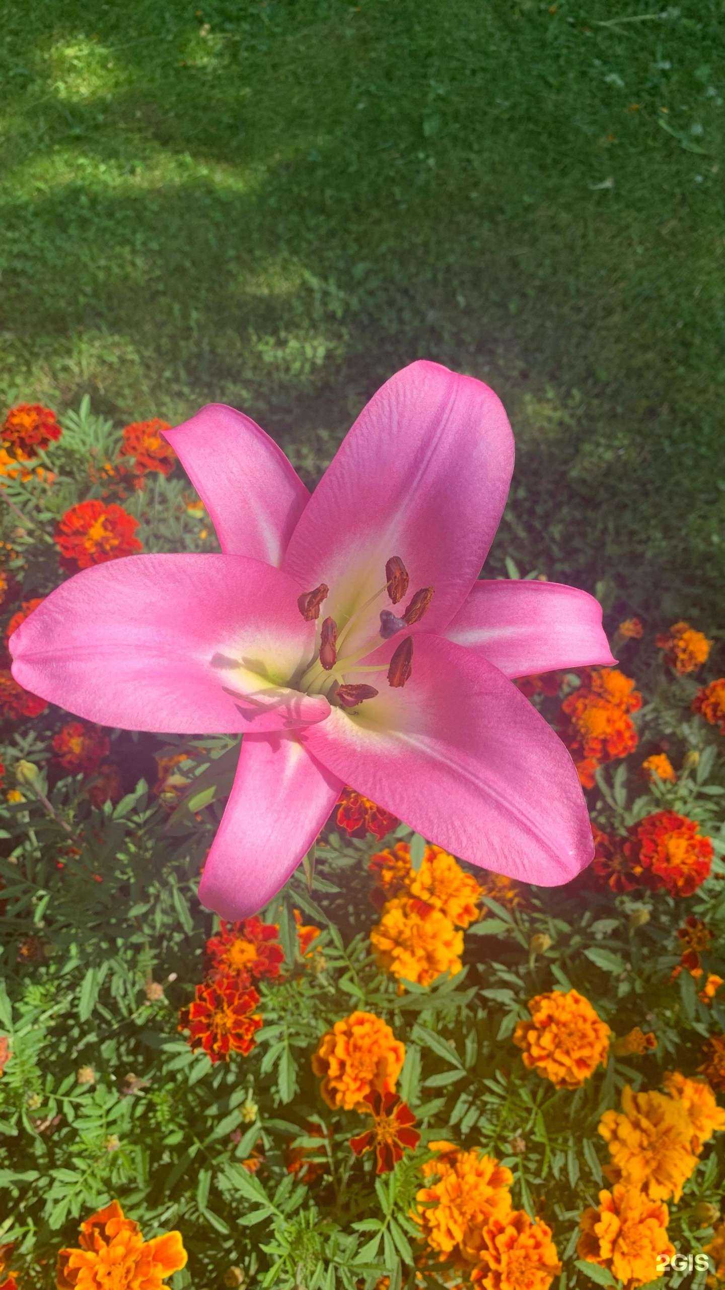 Отзывы на компанию Табачная лавка в Ноябрьске c фото