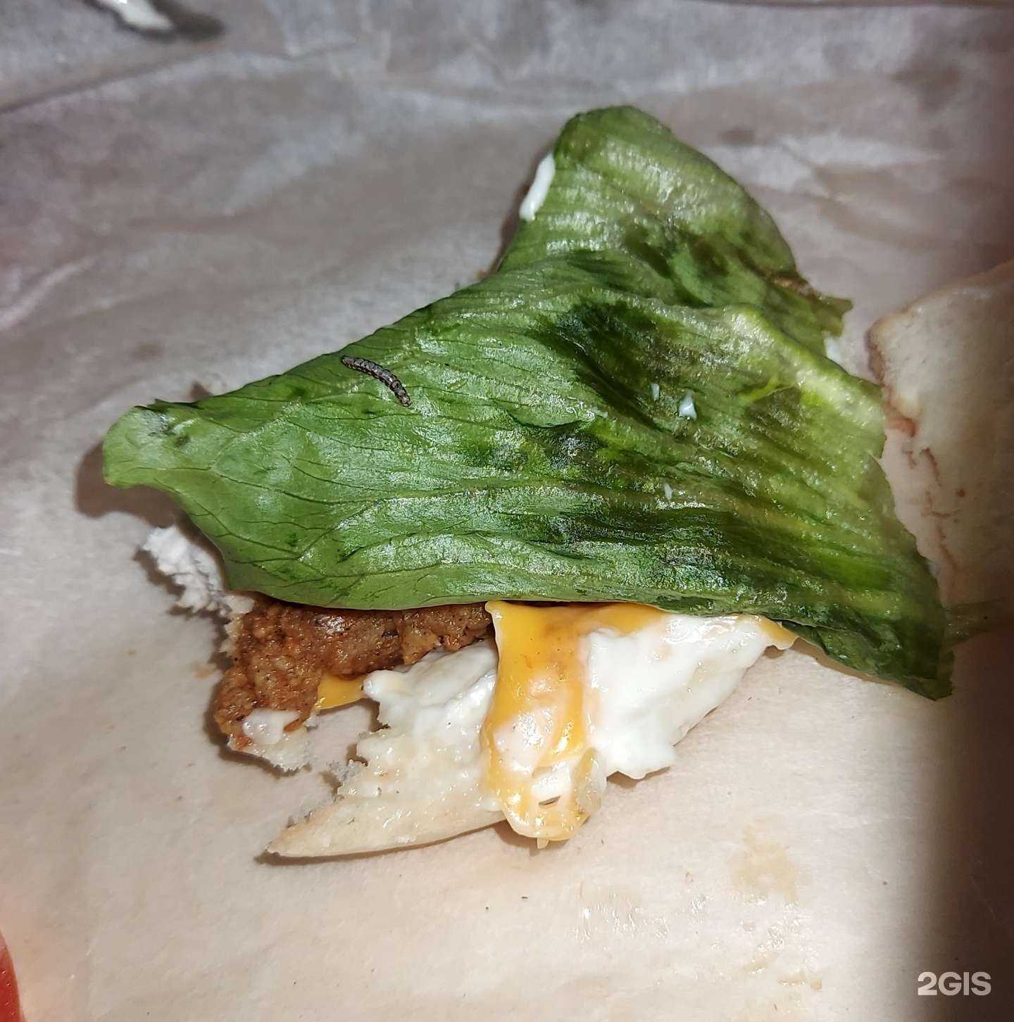 Отзывы на компанию Country chicken в Нальчике c фото