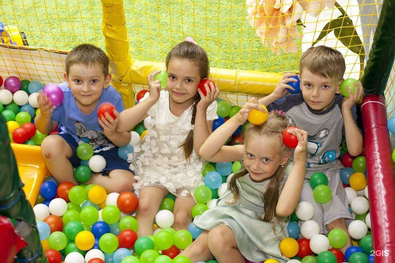 Отзывы на компанию Абрикоска в Новосибирске c фото