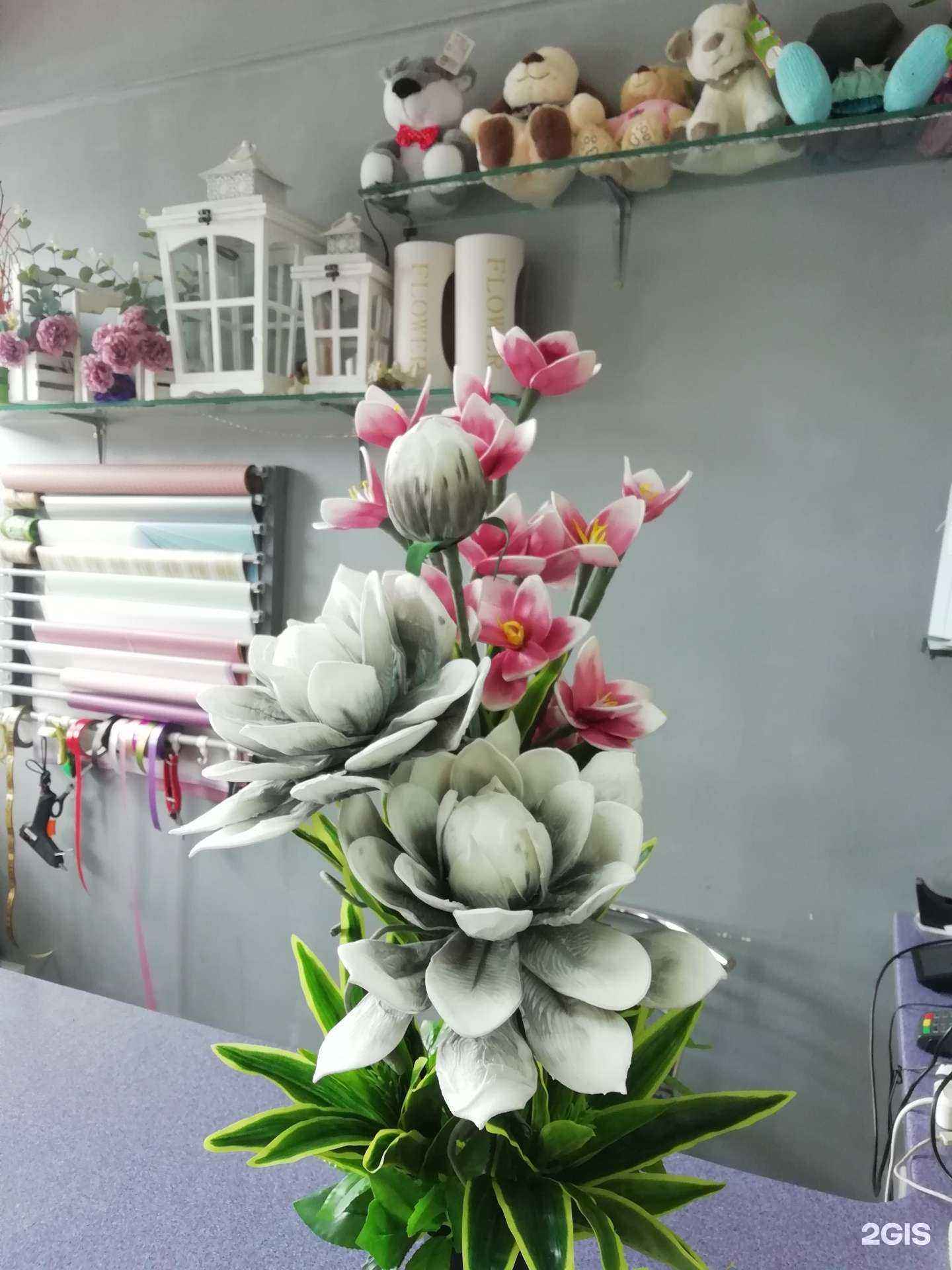 Отзывы на компанию Лиза в г. Орёл c фото