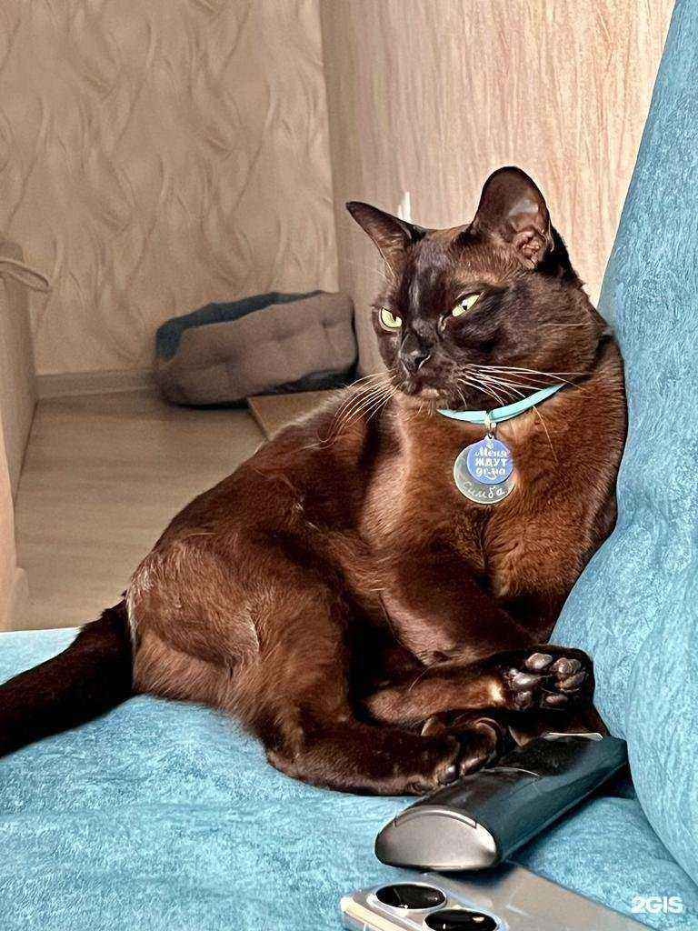 Отзывы на компанию Слон в Краснодаре c фото