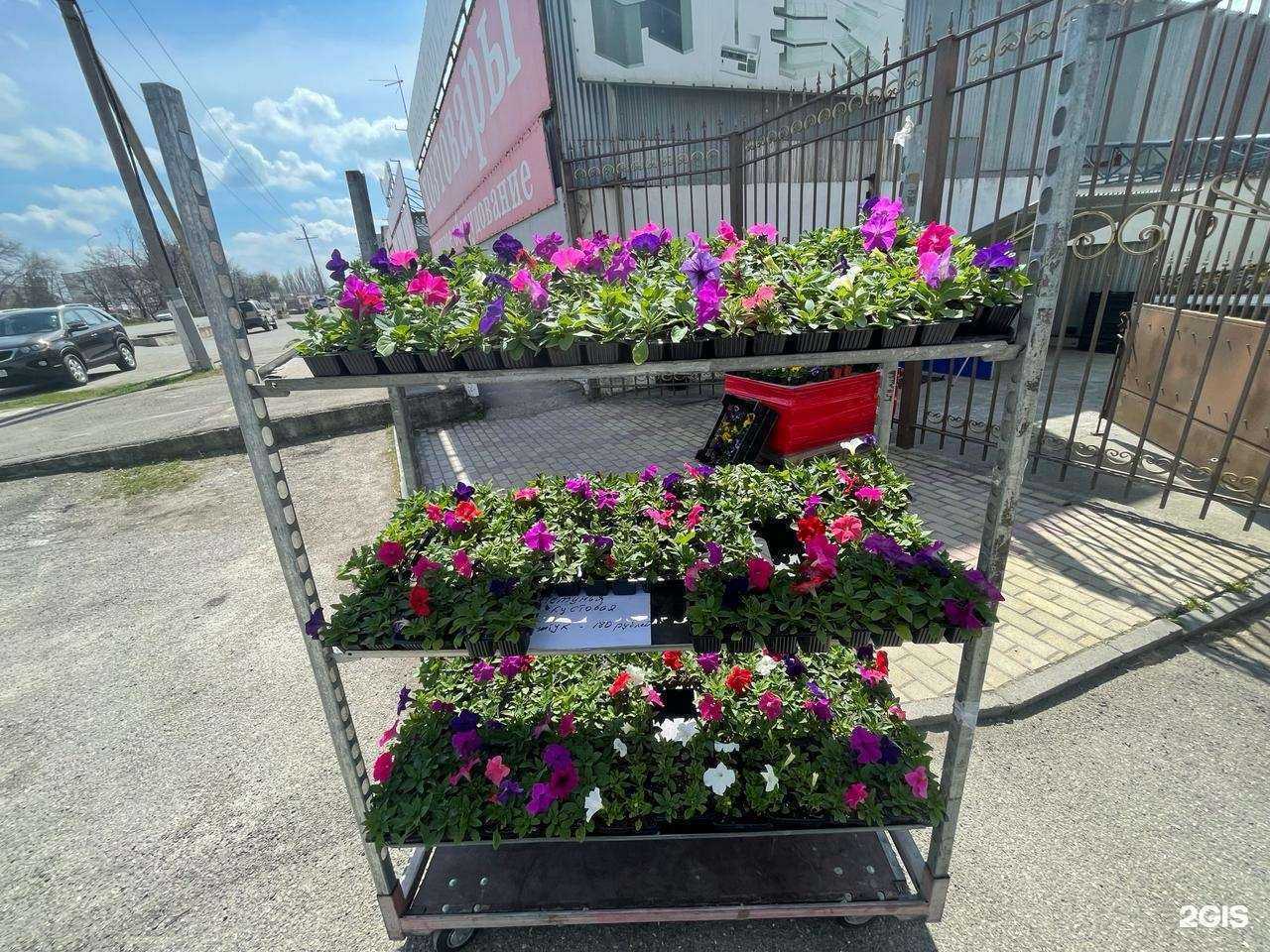 Отзывы на компанию Русское поле в Пятигорске c фото