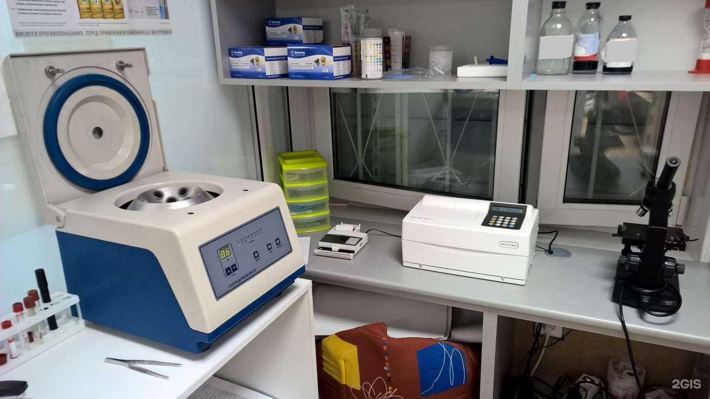 Отзывы на компанию Челябинский центр ветеринарной медицины в Челябинске c фото