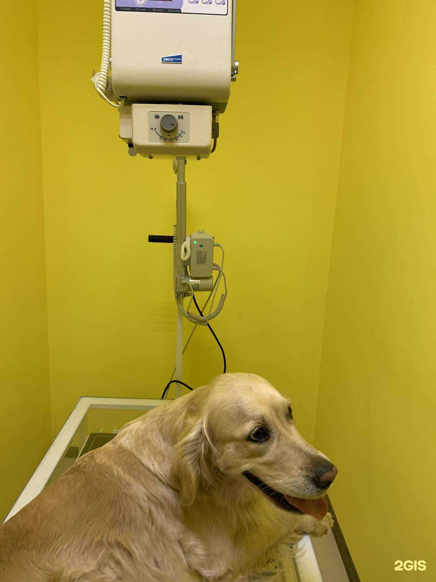 Отзывы на компанию Эль-Вет в Стерлитамаке c фото