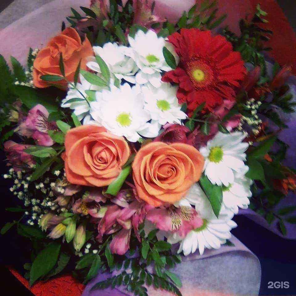 Отзывы на компанию Алые паруса в г. Барнаул c фото