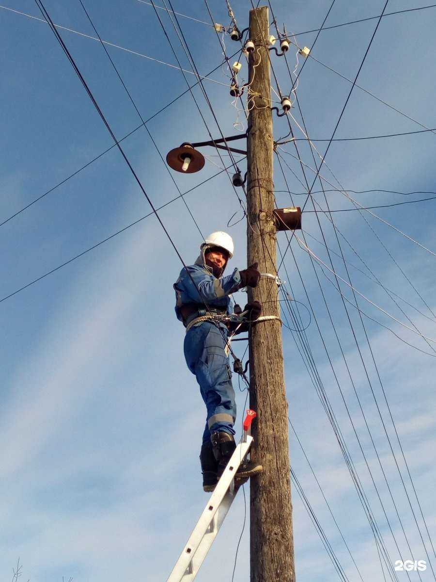 Отзывы на компанию Сибирский Медведь в Кемерове c фото