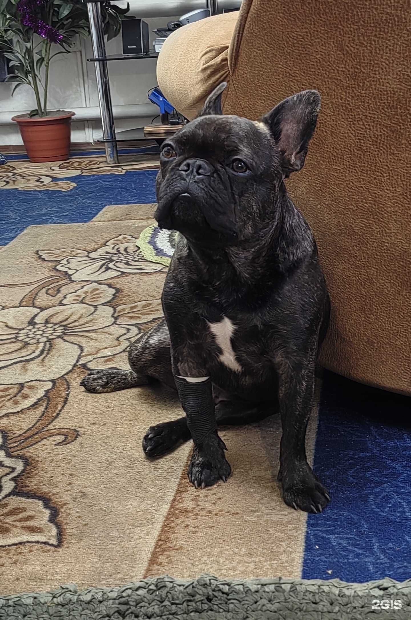 Отзывы на компанию Ника в Кемерове c фото