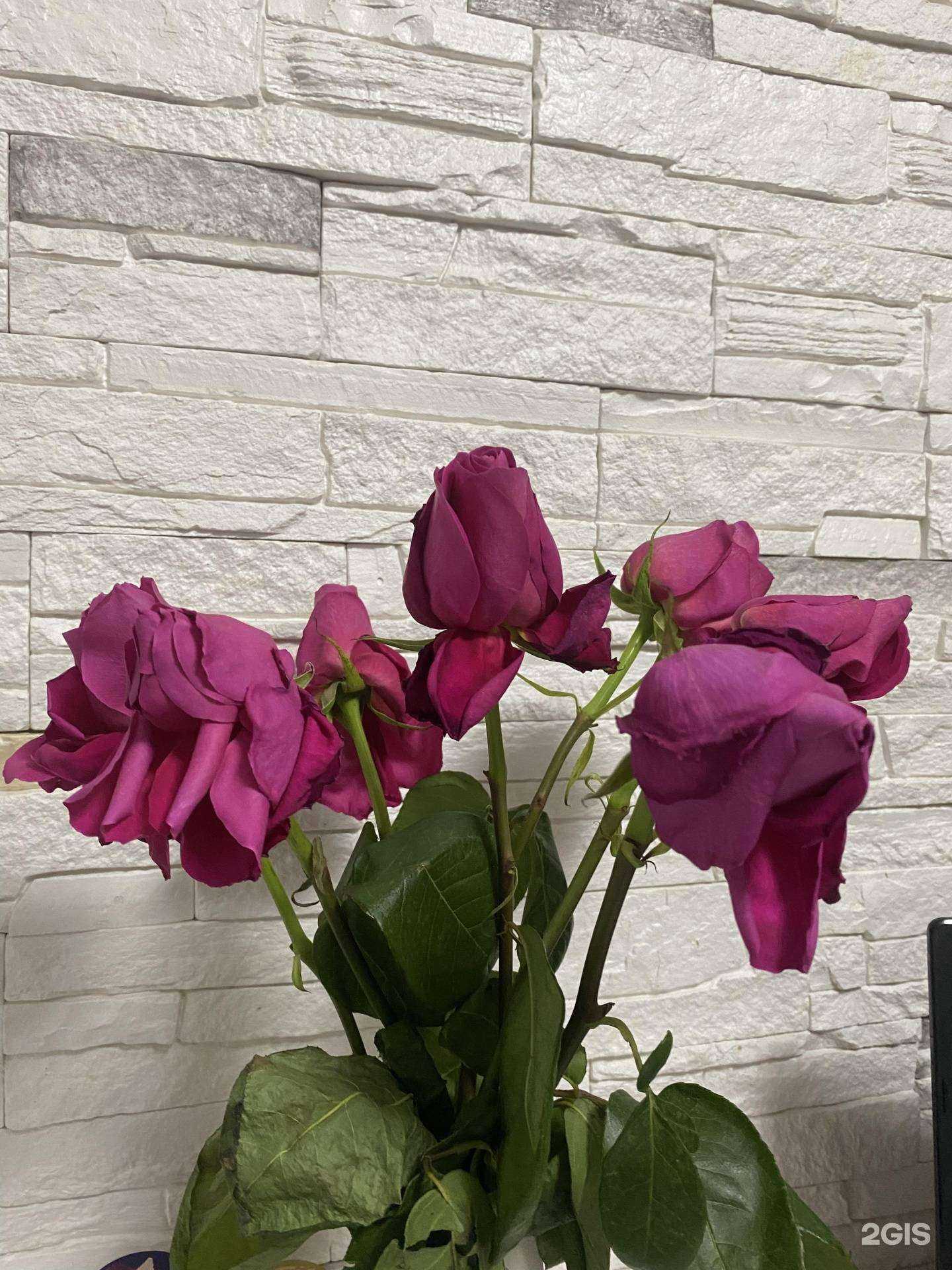 Отзывы на компанию Крона в Красноярске c фото