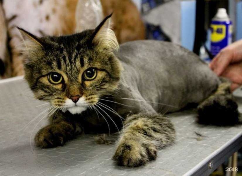 Отзывы на компанию Мандарин Плюс в Ижевске c фото