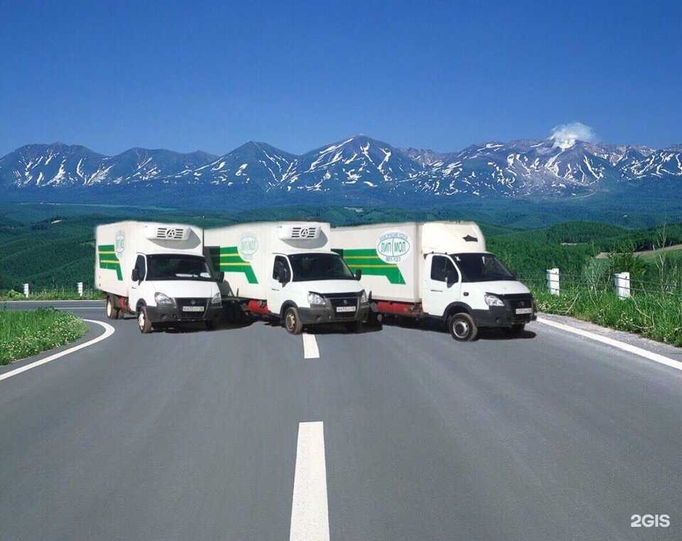 Отзывы на компанию Липмол в г. Липецк c фото