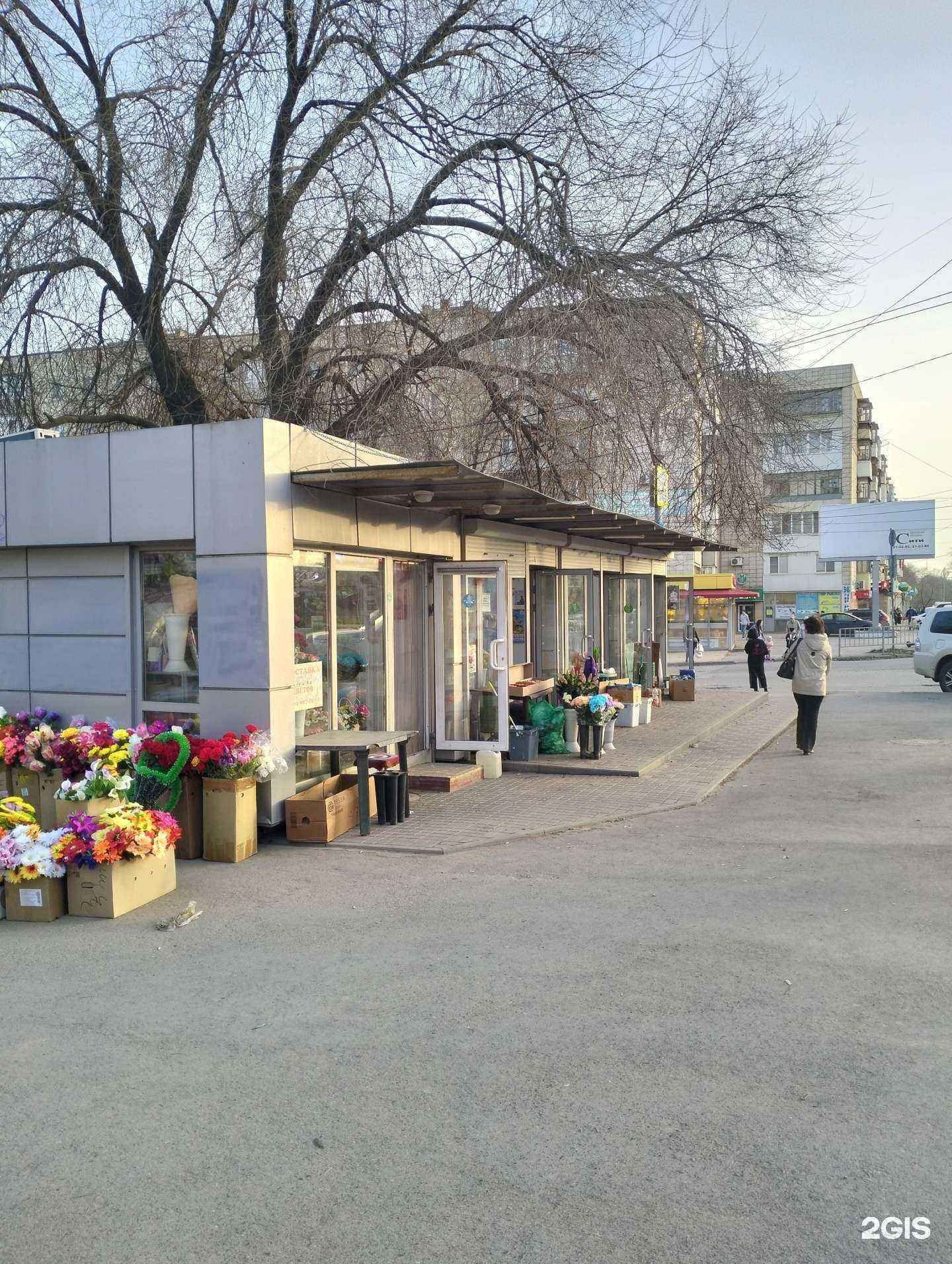 Отзывы на компанию Магазин цветов в Волгограде c фото