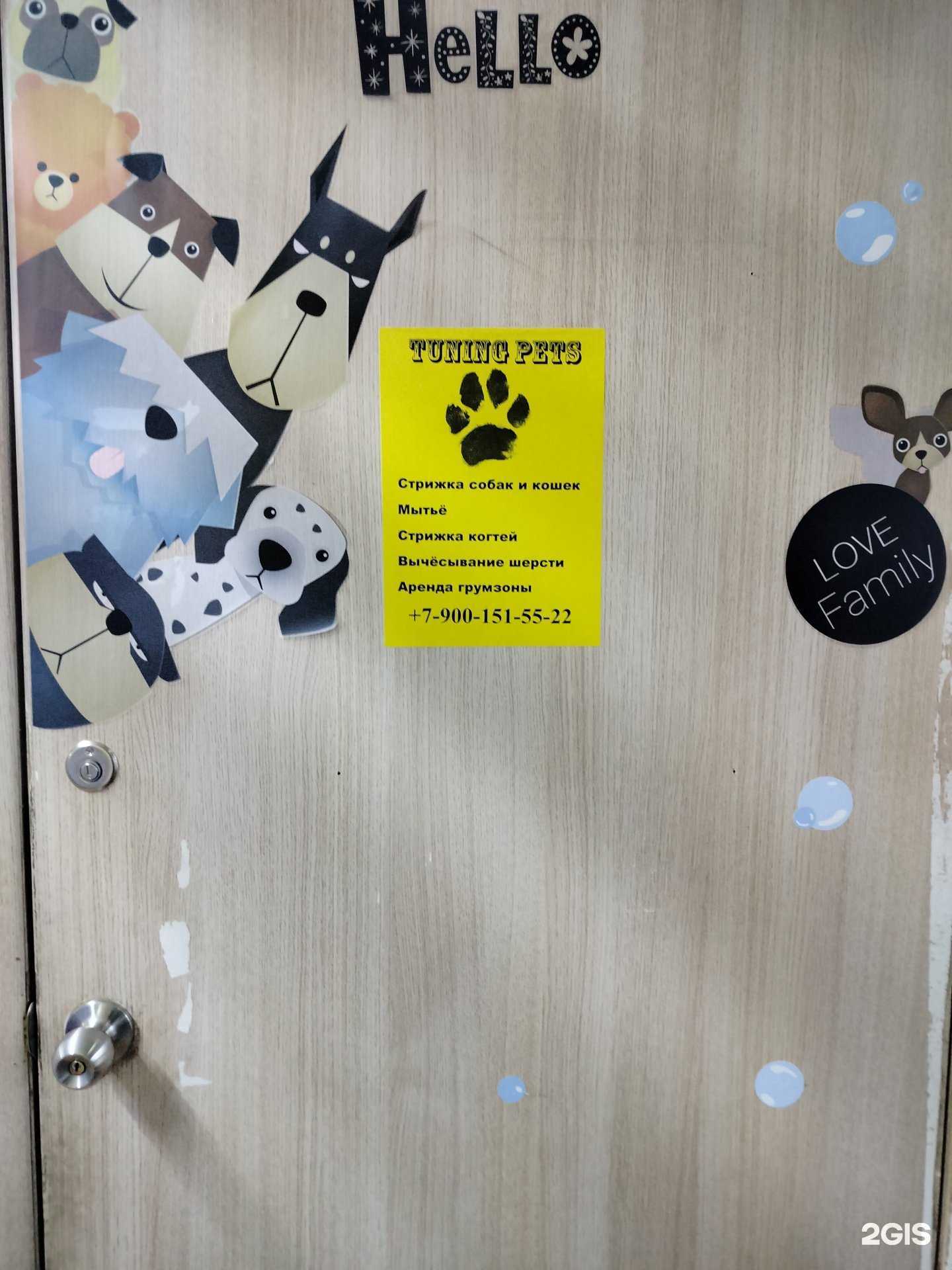 Отзывы на компанию Tuning pets в г. Котельники c фото