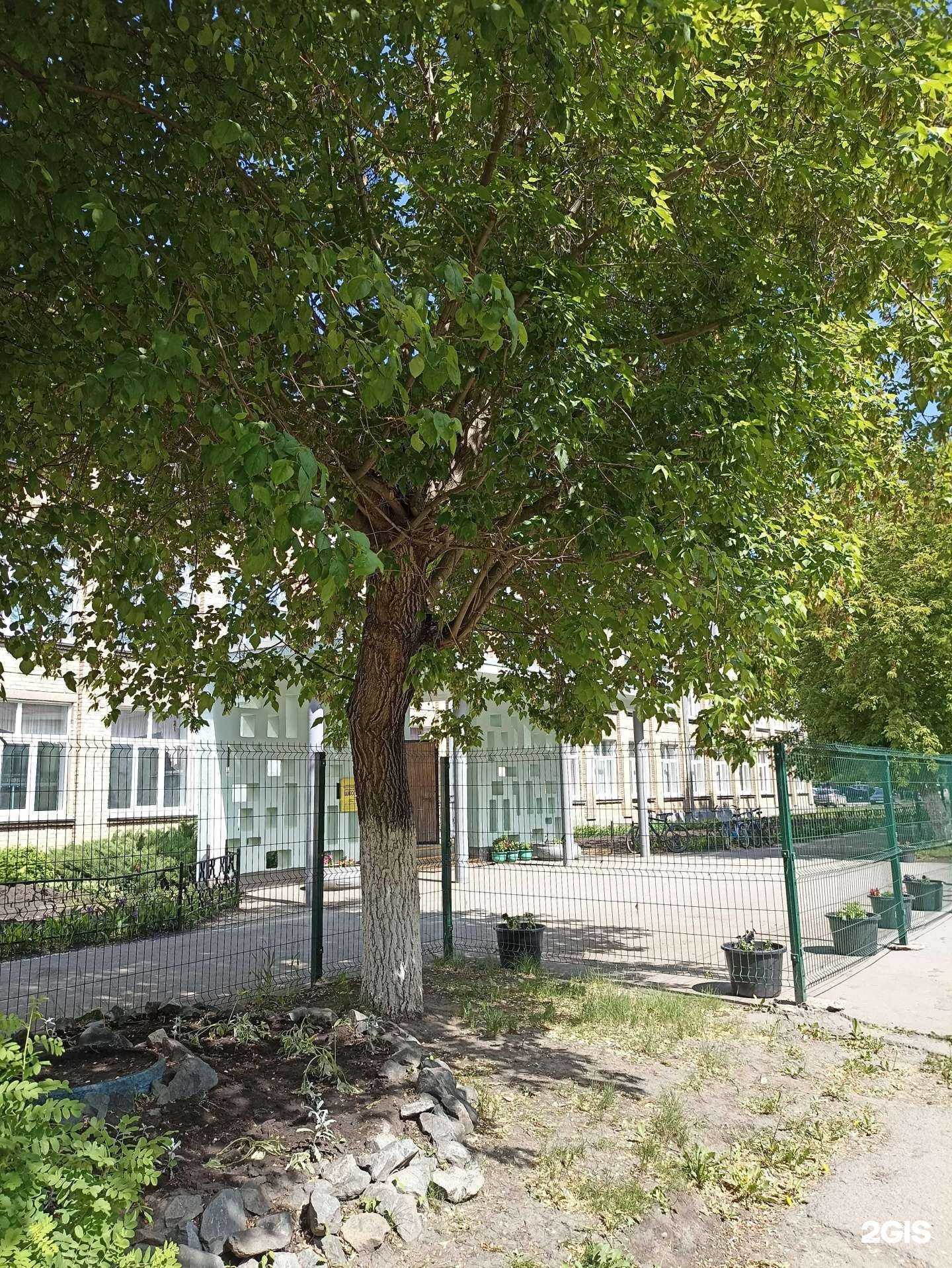 Отзывы на компанию Средняя школа №2 в г. Коркино c фото