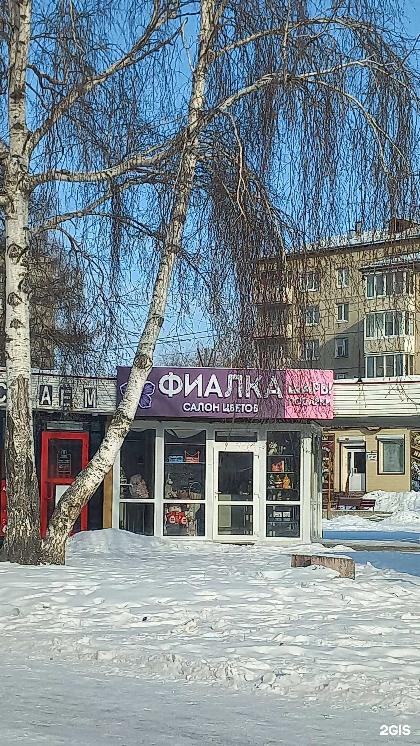 Отзывы на компанию Фиалка в Ангарске c фото