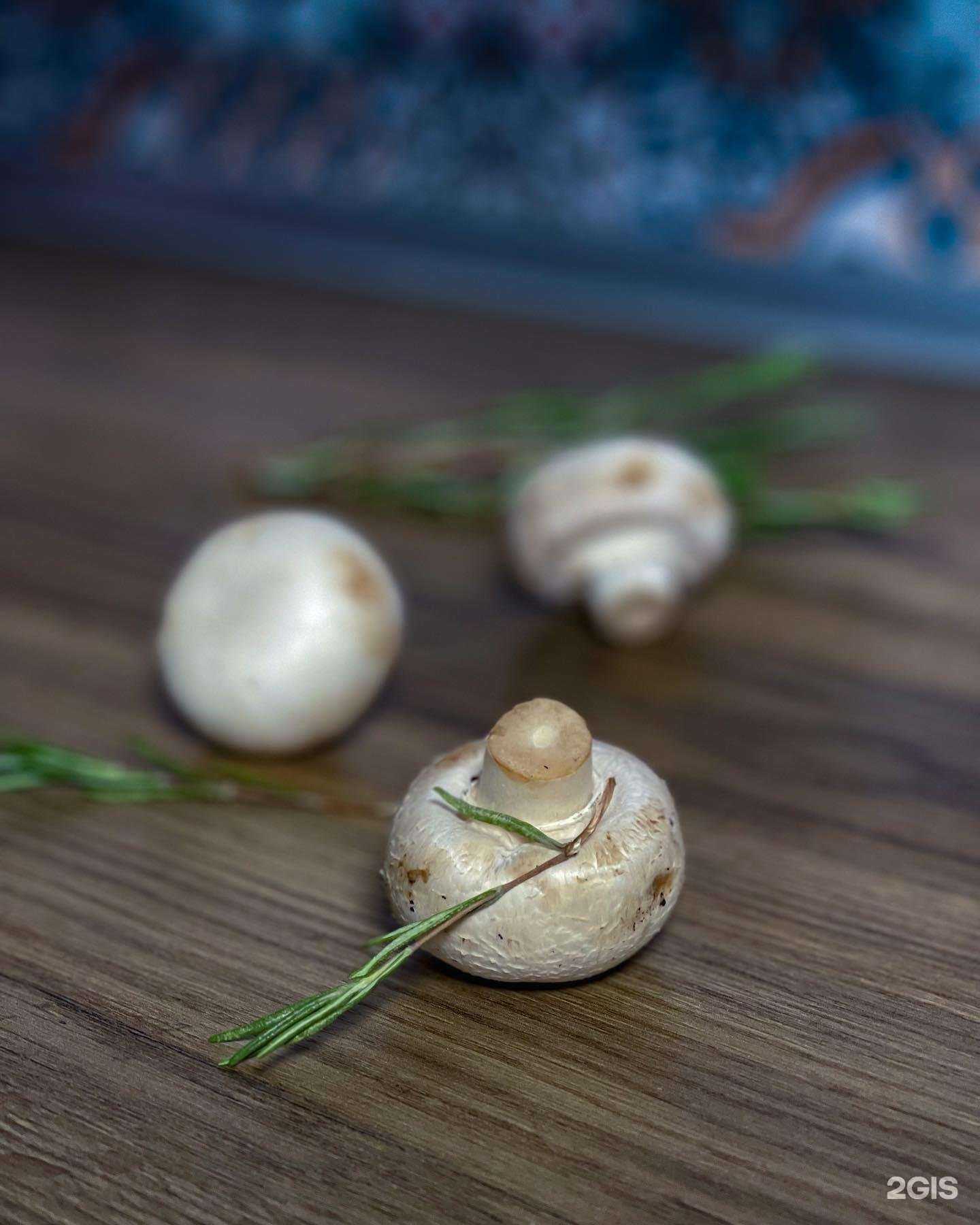 Отзывы на компанию Mangal house в Екатеринбурге c фото