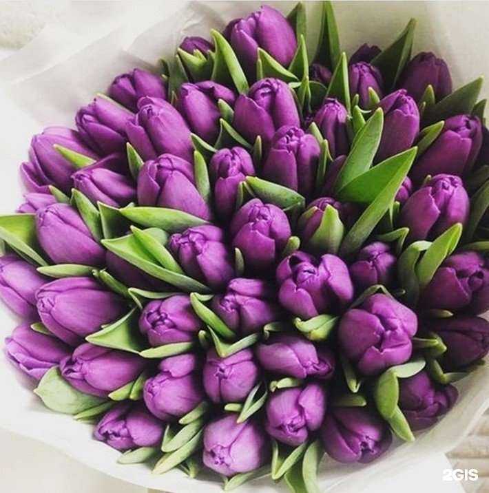 Отзывы на компанию Лавка цветов и подарков в Иркутске c фото