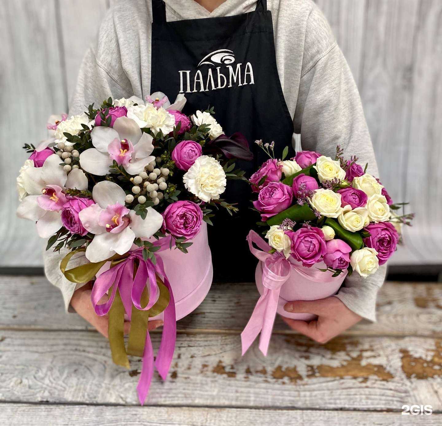 Отзывы на компанию Пальма в Белгороде c фото