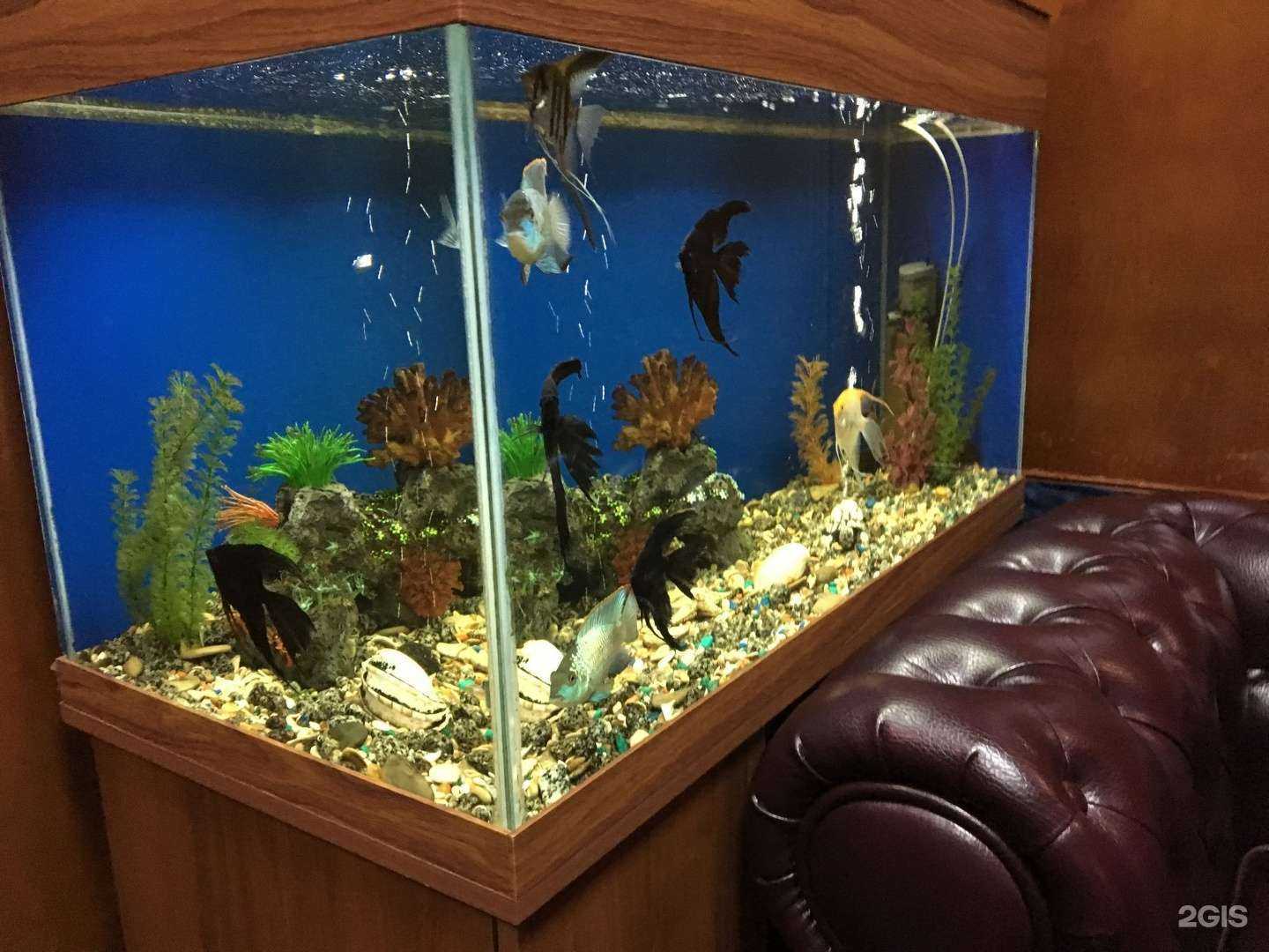 Отзывы на компанию Волна на Октябрьском в Кемерове c фото