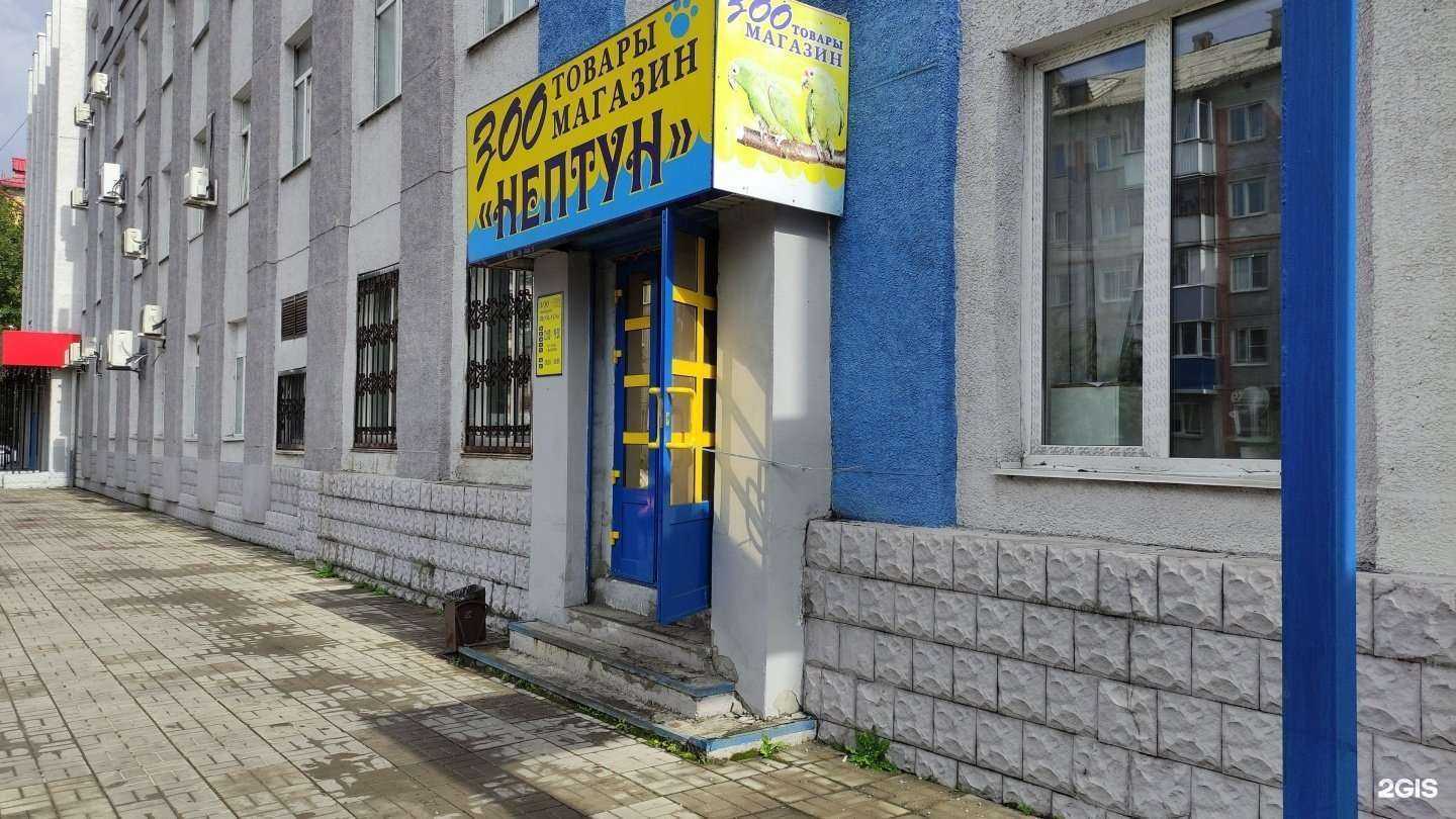 Отзывы на компанию Нептун в Междуреченске c фото