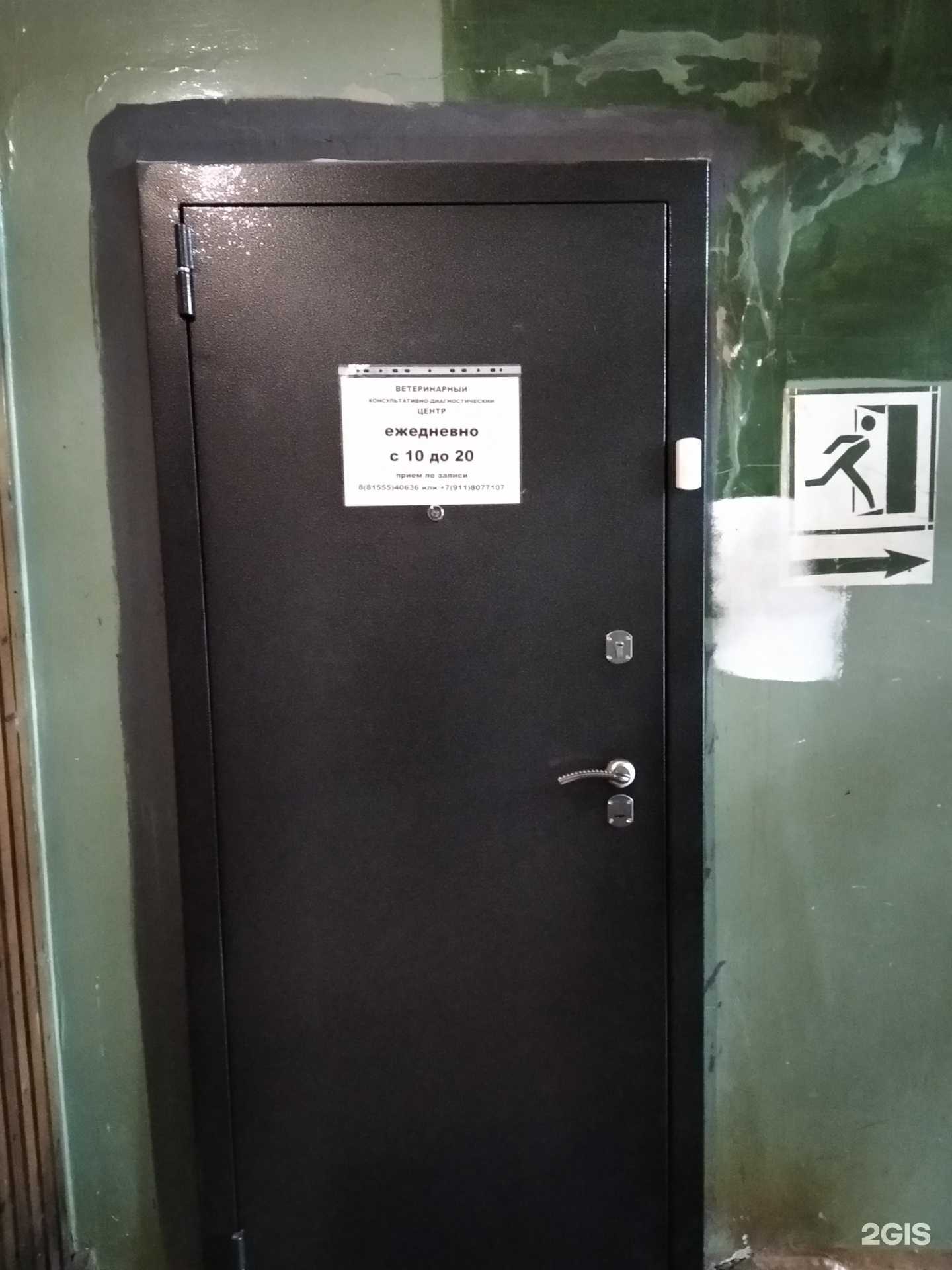 Отзывы на компанию Мой друг в Апатитах c фото